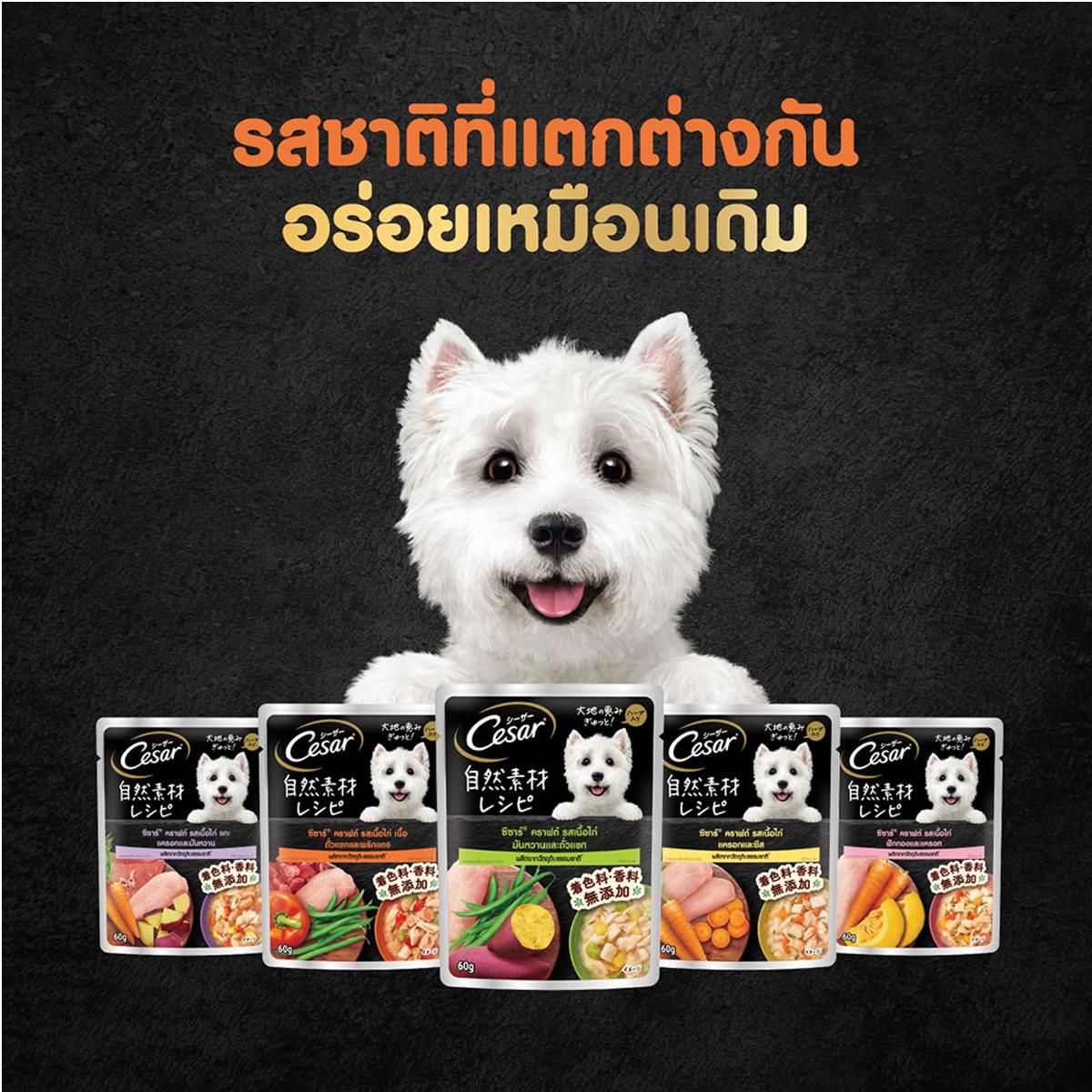 Cesar ซีซาร์ คราฟต์ อาหารเปียก สุนัข ขนาด 70 g