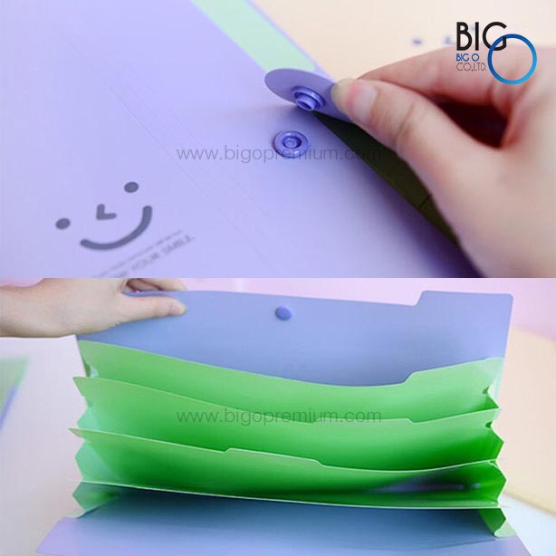 แฟ้มใส่เอกสาร 5 ช่อง (Kawaii Folder)