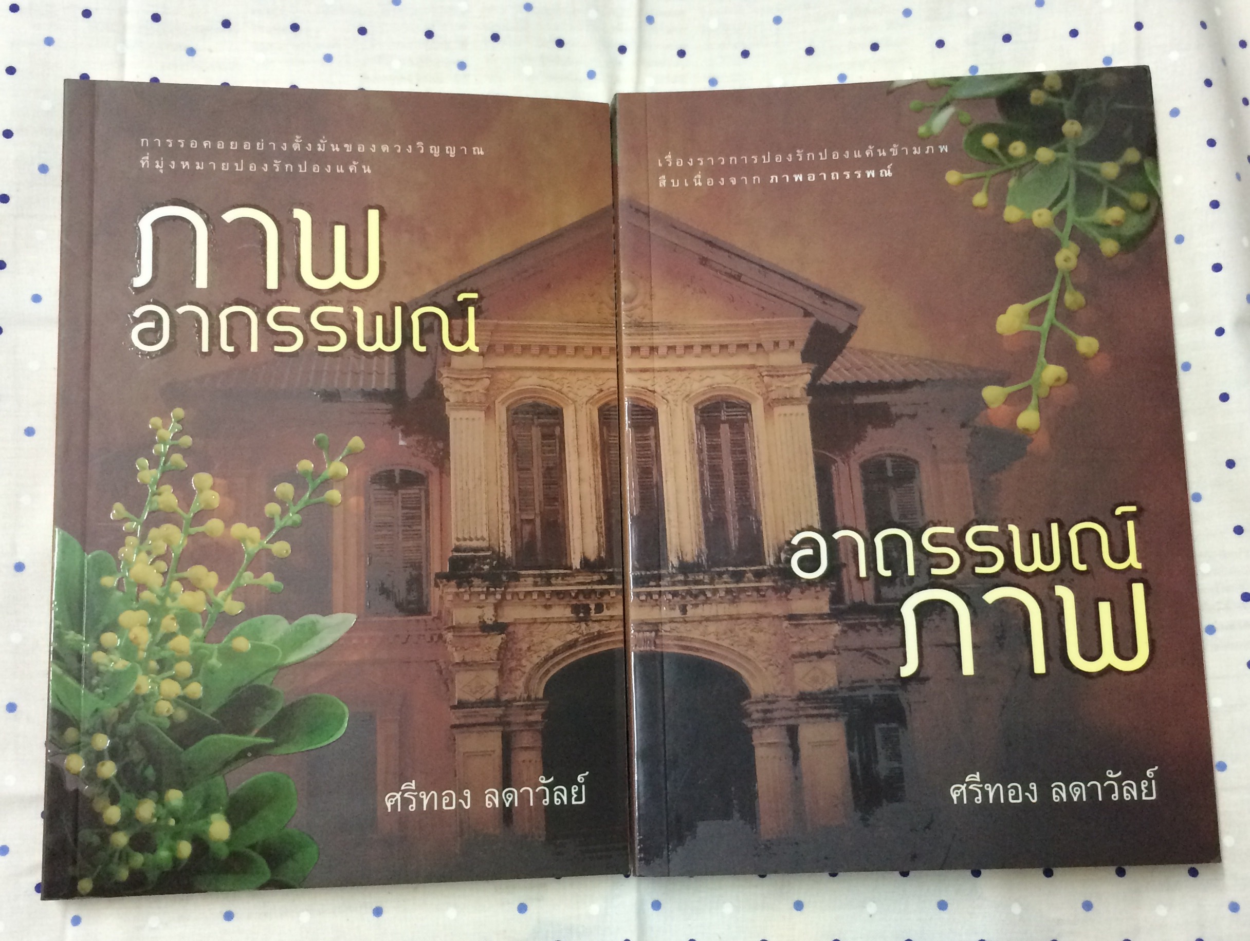 ภาพอาถรรพณ์ / อาถรรพณ์ภาพ