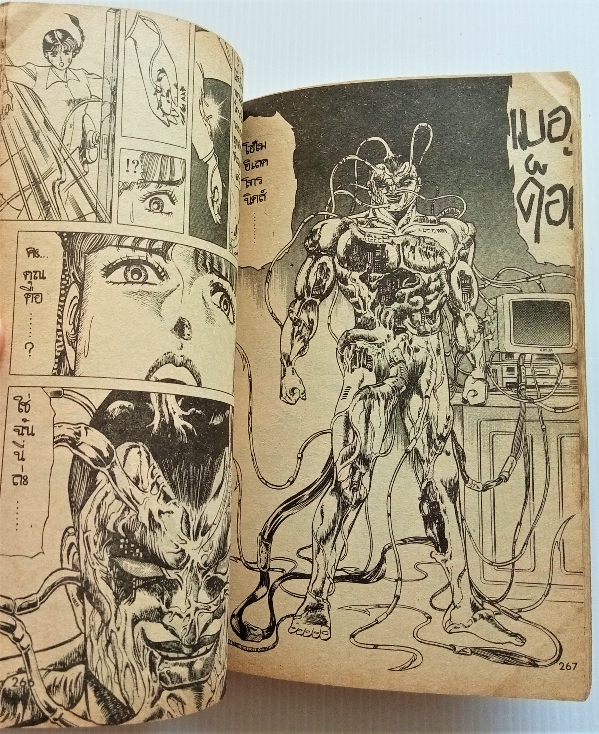 ฝ่ามือสุริยะเทพ เล่ม 1