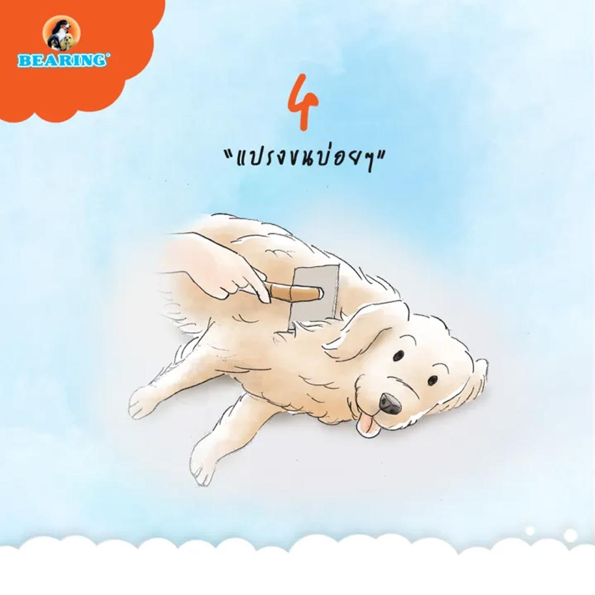 BEARING Beauty Lotion for Dog & Cat สเปรย์บำรุงขนสุนัขและแมว บำรุงขนสวย ให้ผิวแข็งแรง ขนนุ่ม ลื่น ไม่พันกัน 250ml