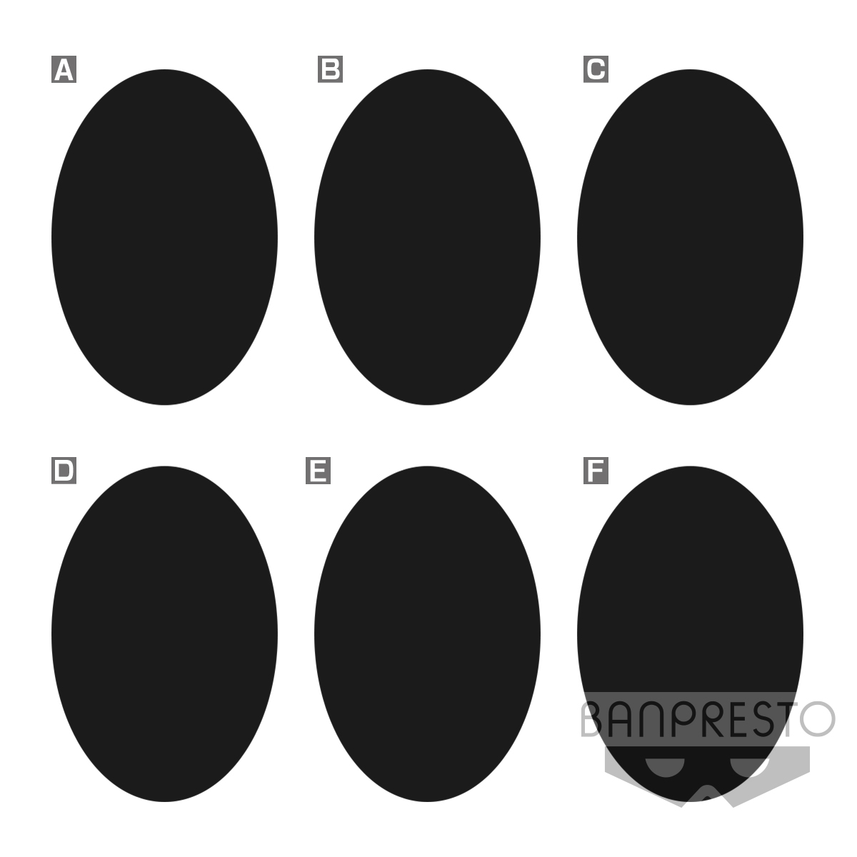 (Preorder ถึง 18/7/2021) เปิดรับPreorder มีค่ามัดจำ 300 บาท 18023- ONE PIECE WORLD COLLECTABLE FIGURE -NEW SERIES2- (TBA)