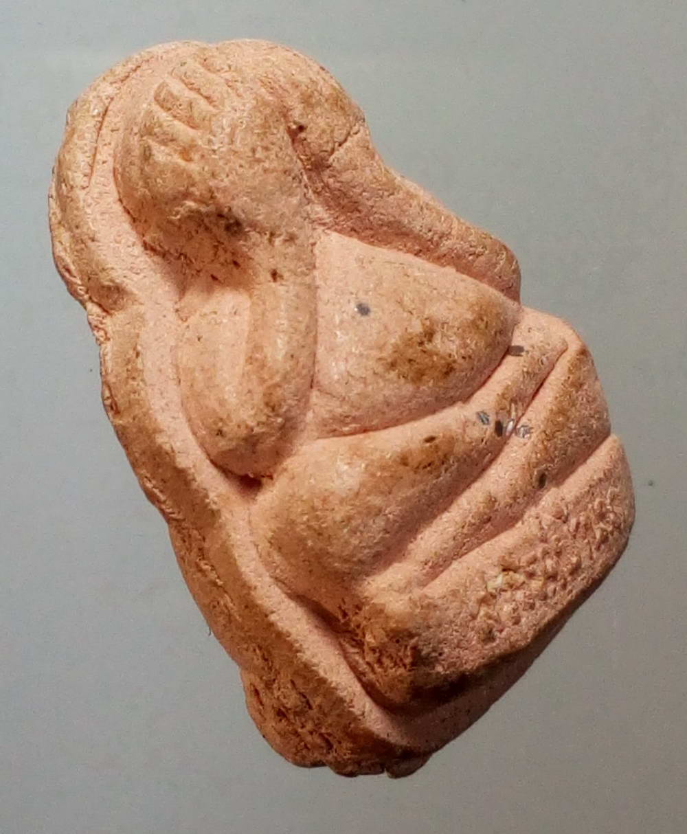 รหัสสินค้า พระไม่ทราบที่ 205 พระปิดตาเนื้อผง สวรรค์บ้านนา พิมพ์ลอยองค์ ไม่ทราบที่