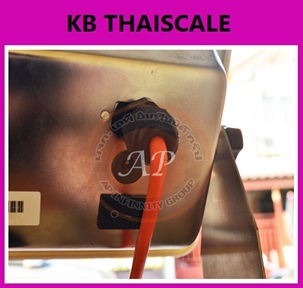 เครื่องชั่งดิจิตอล 5 ตัน เครื่องชั่งดิจิตอลแบบวางพื้นขนาดใหญ่ 5 ตัน ค่าละเอียด 500 กรัม ยี่ห้อ ZEPPER รุ่น B6S Series ขนาดแท่นชั่ง 150x150cm. (หัวอ่านสแตนเลส)