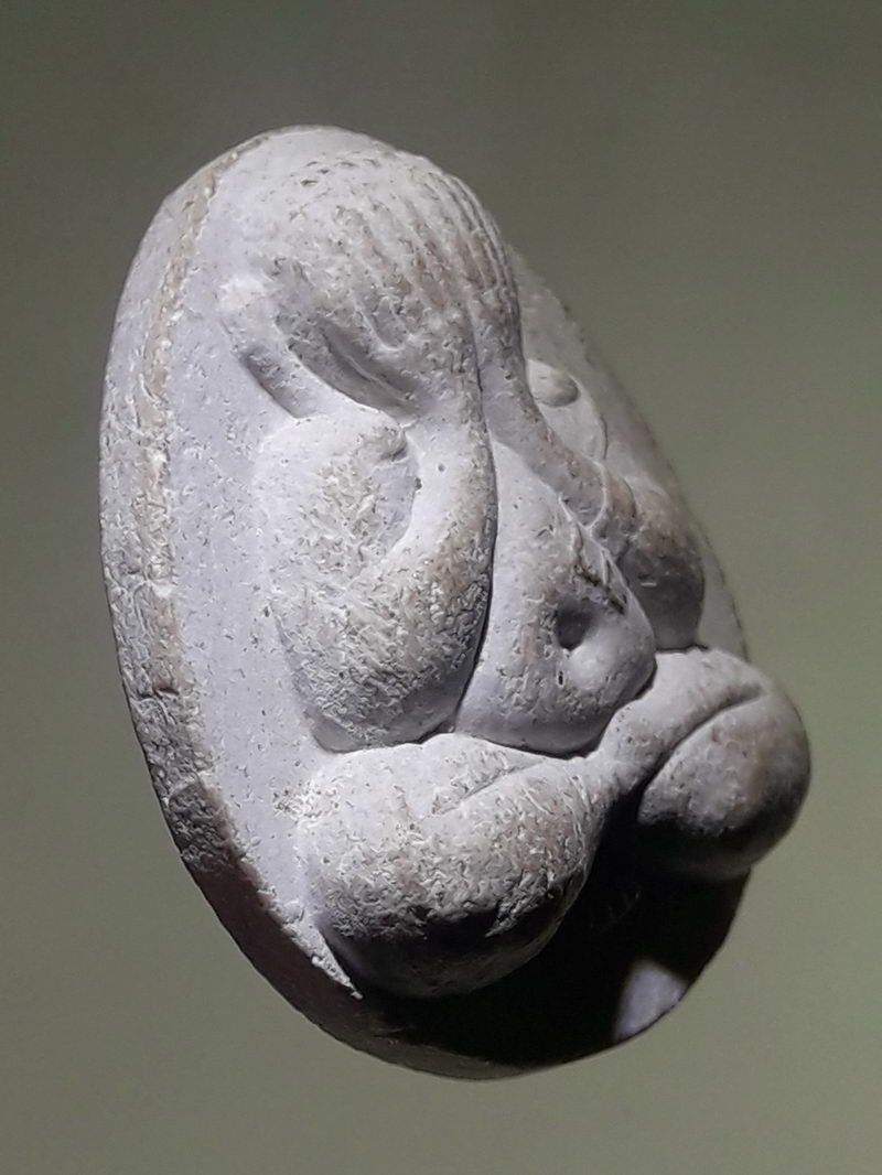 รหัสสินค้า พระเนื้อดิน ผง ว่าน 10518 พระปิดตาเนื้อผง หลวงปู่เจ๊ก วัดระนาม จังหวัดสิงห์บุรี