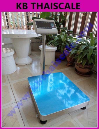 ตาชั่งดิจิตอล เครื่องชั่งดิจิตอล เครื่องชั่งวางพื้น200kg ความละเอียด 20g T7E-PB5060-200 แท่นชั่ง50X60cm พร้อมช่องต่อ RS-232C (RS-232C Serial Interface)
