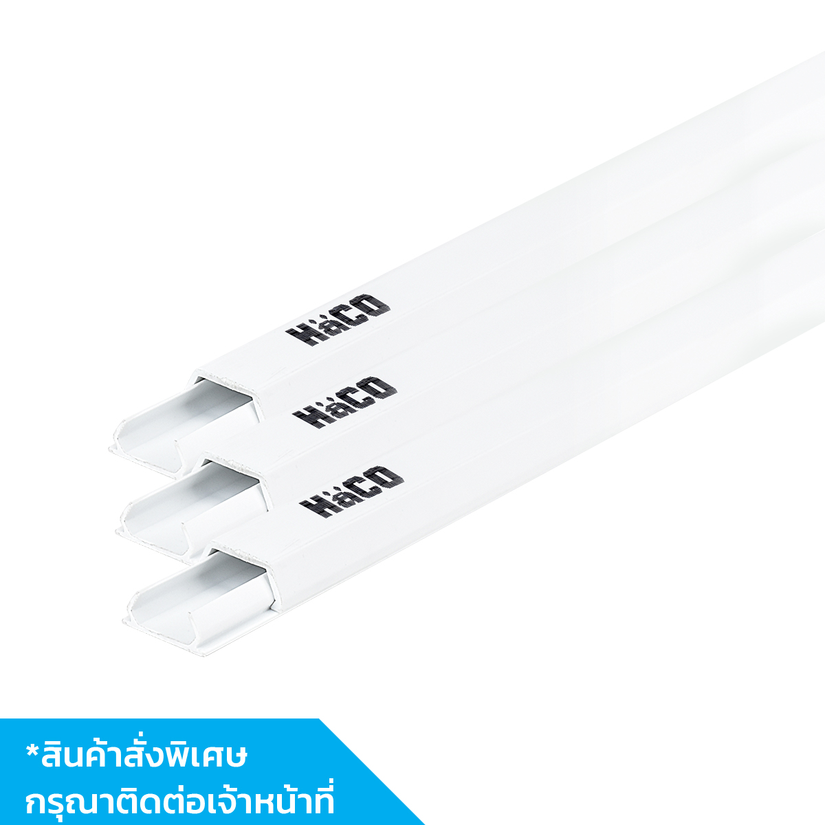 HACO รางเดินสายไฟฟ้า uPVC 21mm.x10mm.x2mt. ER-816/2