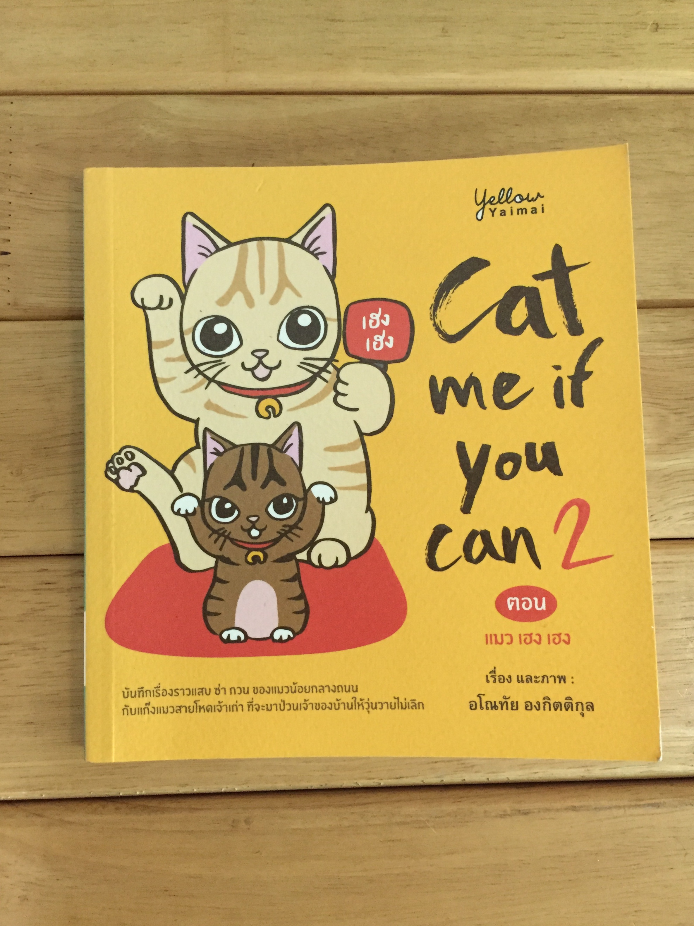 Cat me if you can No.2 ตอน แมวเฮงเฮง