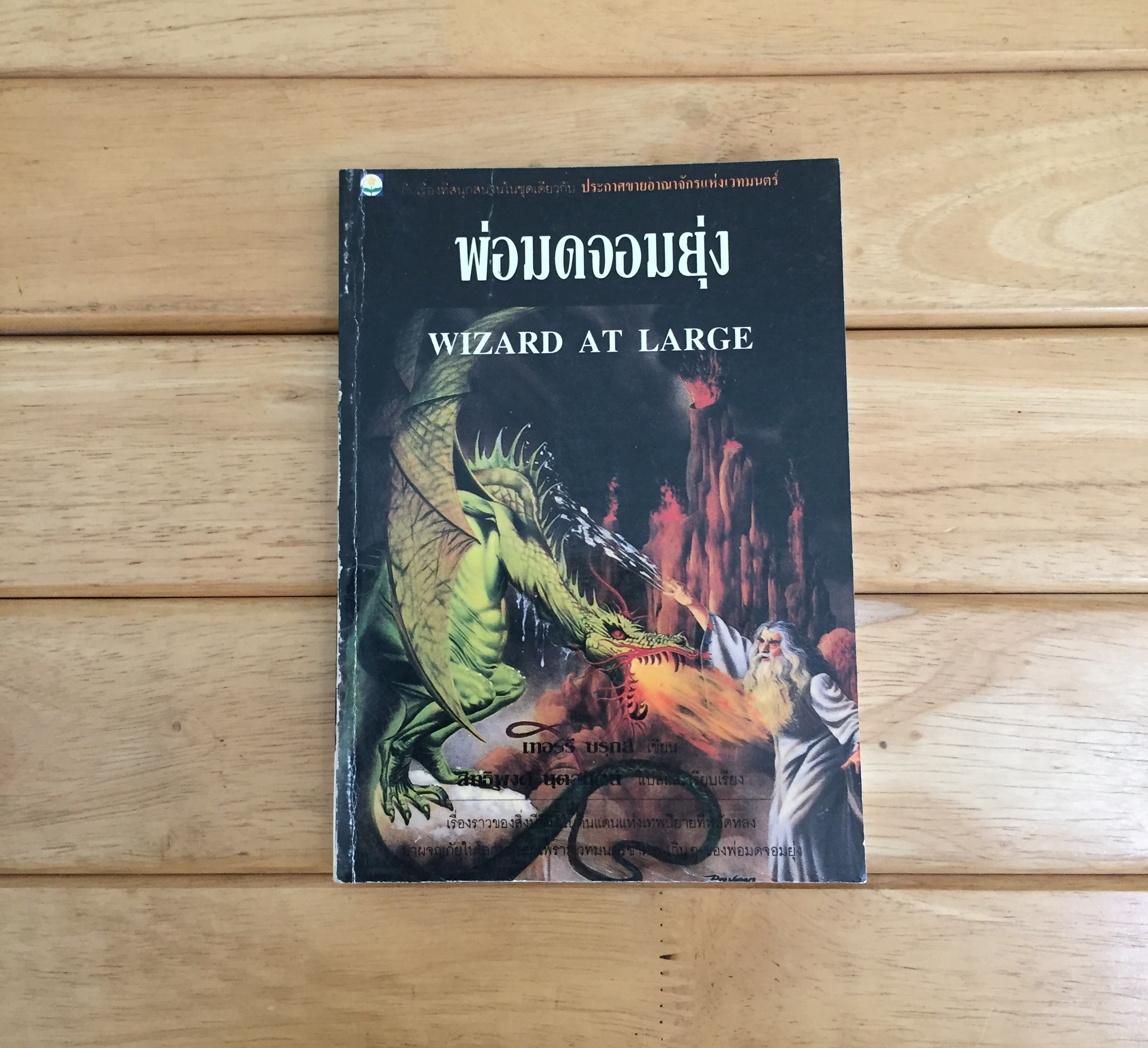 พ่อมดจอมยุ่ง (Wizard at Large)