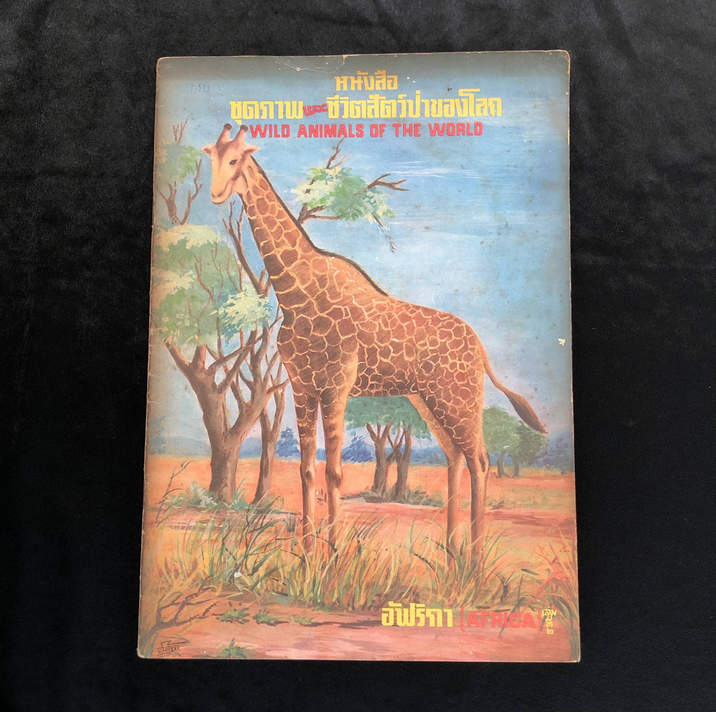 หนังสือชุดภาพและชีวิตสัตว์ป่าของโลก อัฟริกา **สภาพเก่า**