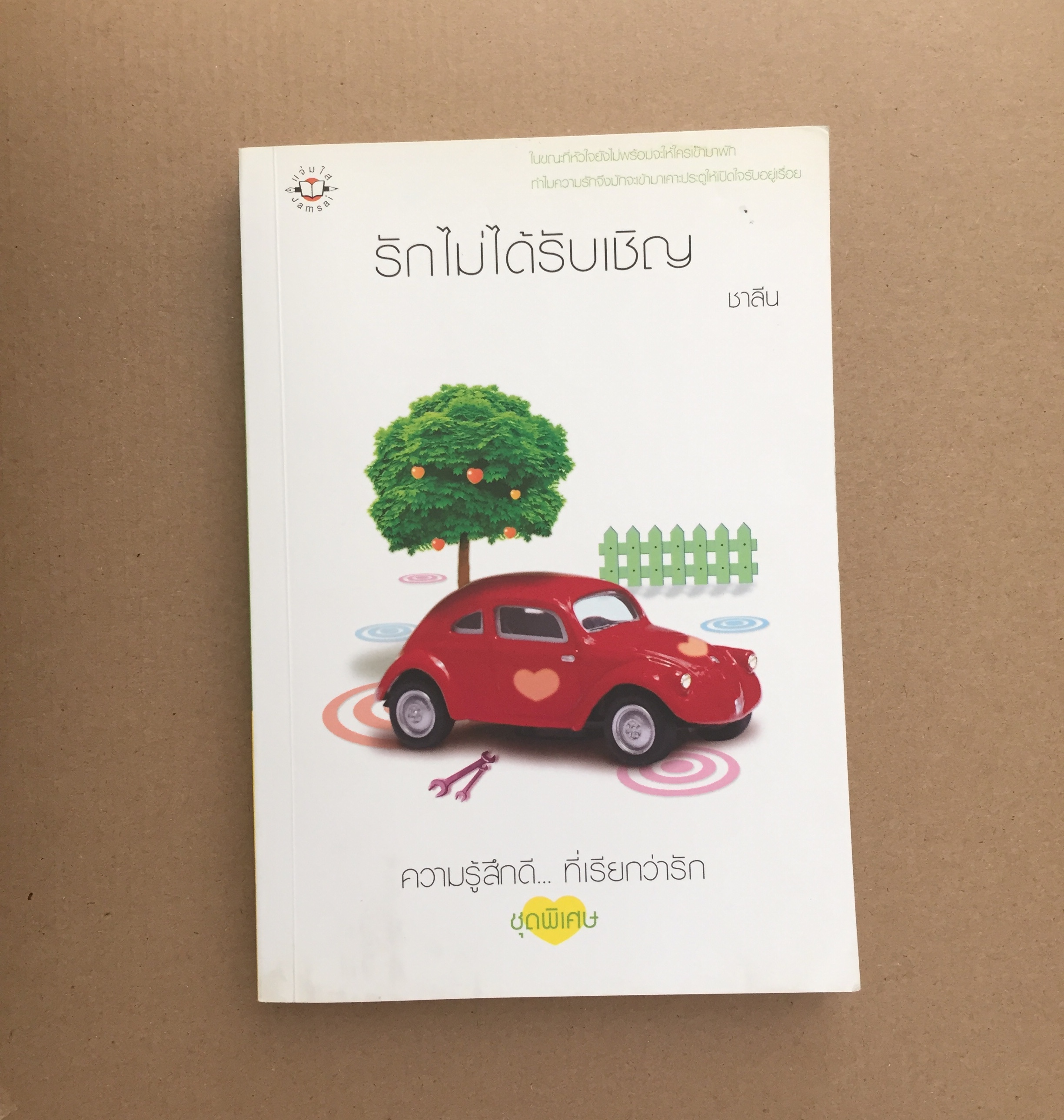 รักไม่ได้รับเชิญ