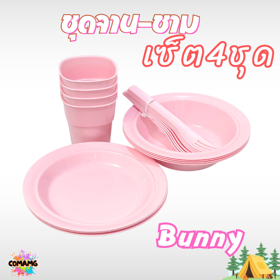 เซ็ตจานชามปิคนิค ชุดปิคนิค พร้อมกล่องใส่หูหิ้วพกพา ลายลิขสิทธิ์แท้