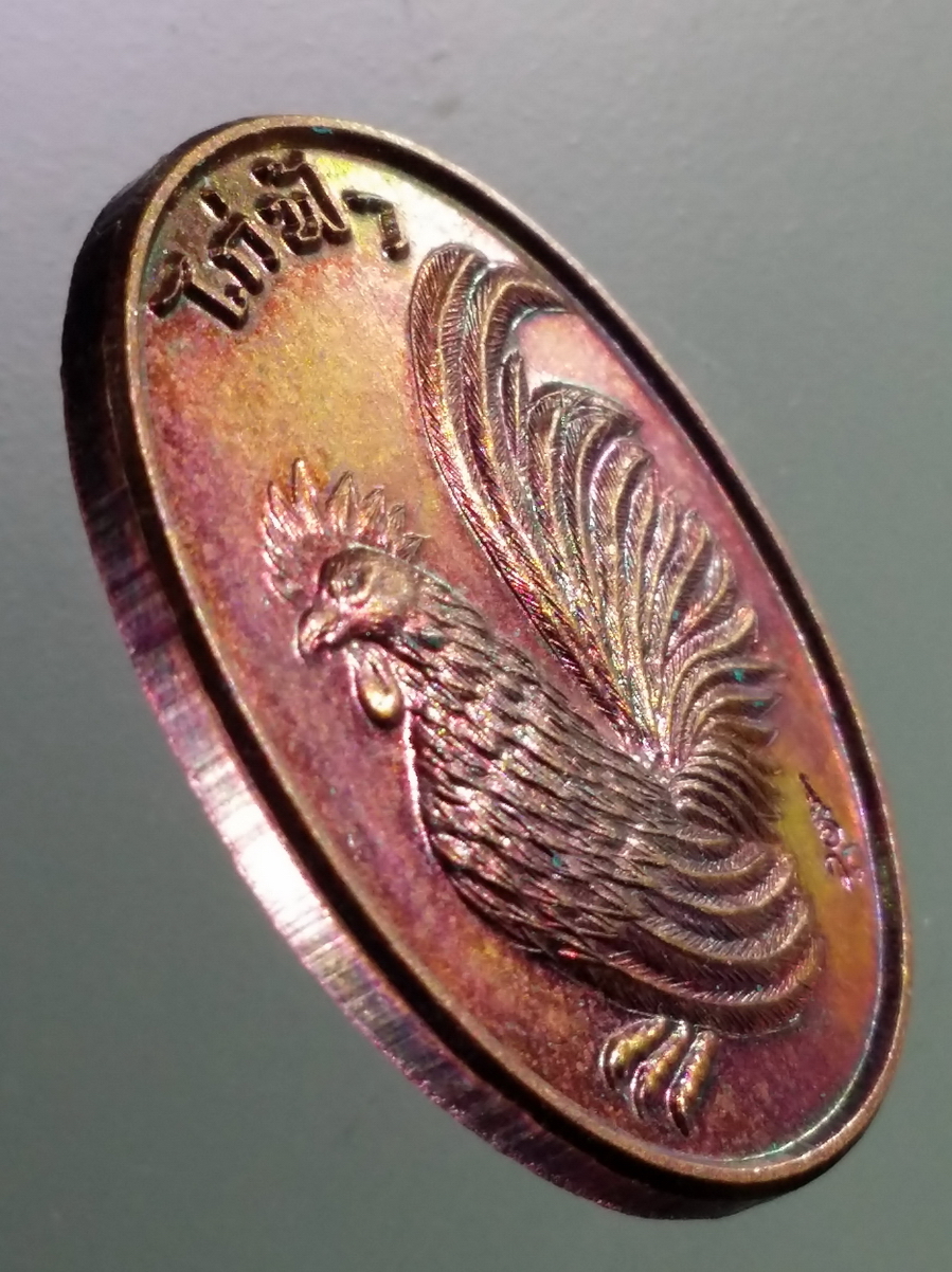 antig FB 204 เหรียญไก่ฟ้า หลวงปู่สรวง วัดถ้ำพรหมสวัสดิ์ จังหวัดลพบุรี รุ่นรวยทวีคูณ สร้างปี 2559 พระรายการนี้ให้เช่าบูชาแล้ว