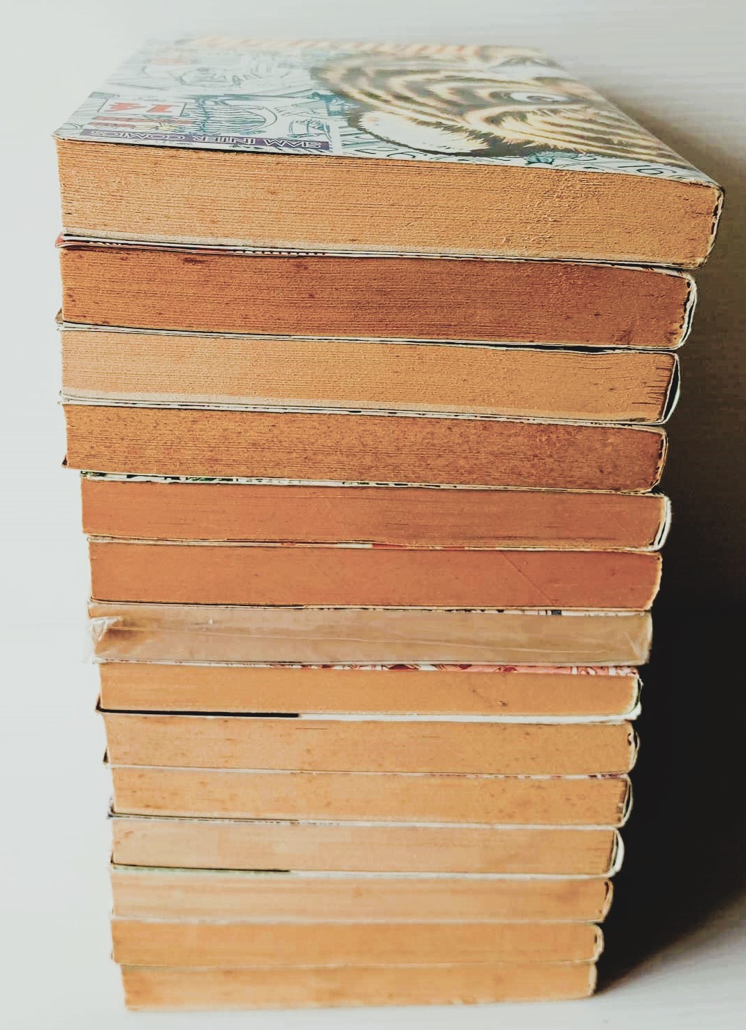 หน้ากากเสือ