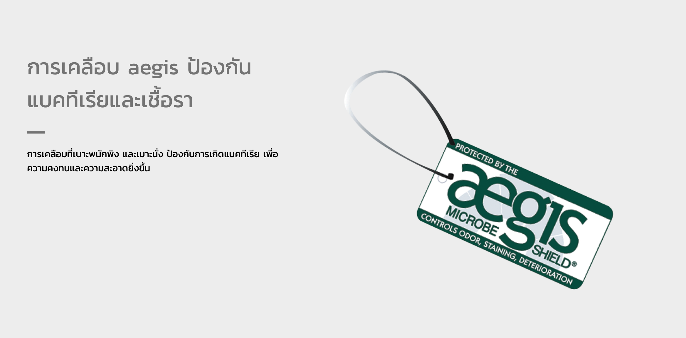 รถเข็นวีลแชร์น้ำหนักเบา พับได้ อลูมินัมอัลลอยด์คาร์ม่า รุ่น Ergo Lite (WheelChair KARMA Ergo Lite) น้ำหนักเบาเพียง 8.5 กก. เบากว่าทุกรุ่นของคาร์ม่า เหมาะสำหรับเดินทาง ของแท้ รับประกันศูนย์ไทย 5 ปี (รุ่นยอดนิยม)
