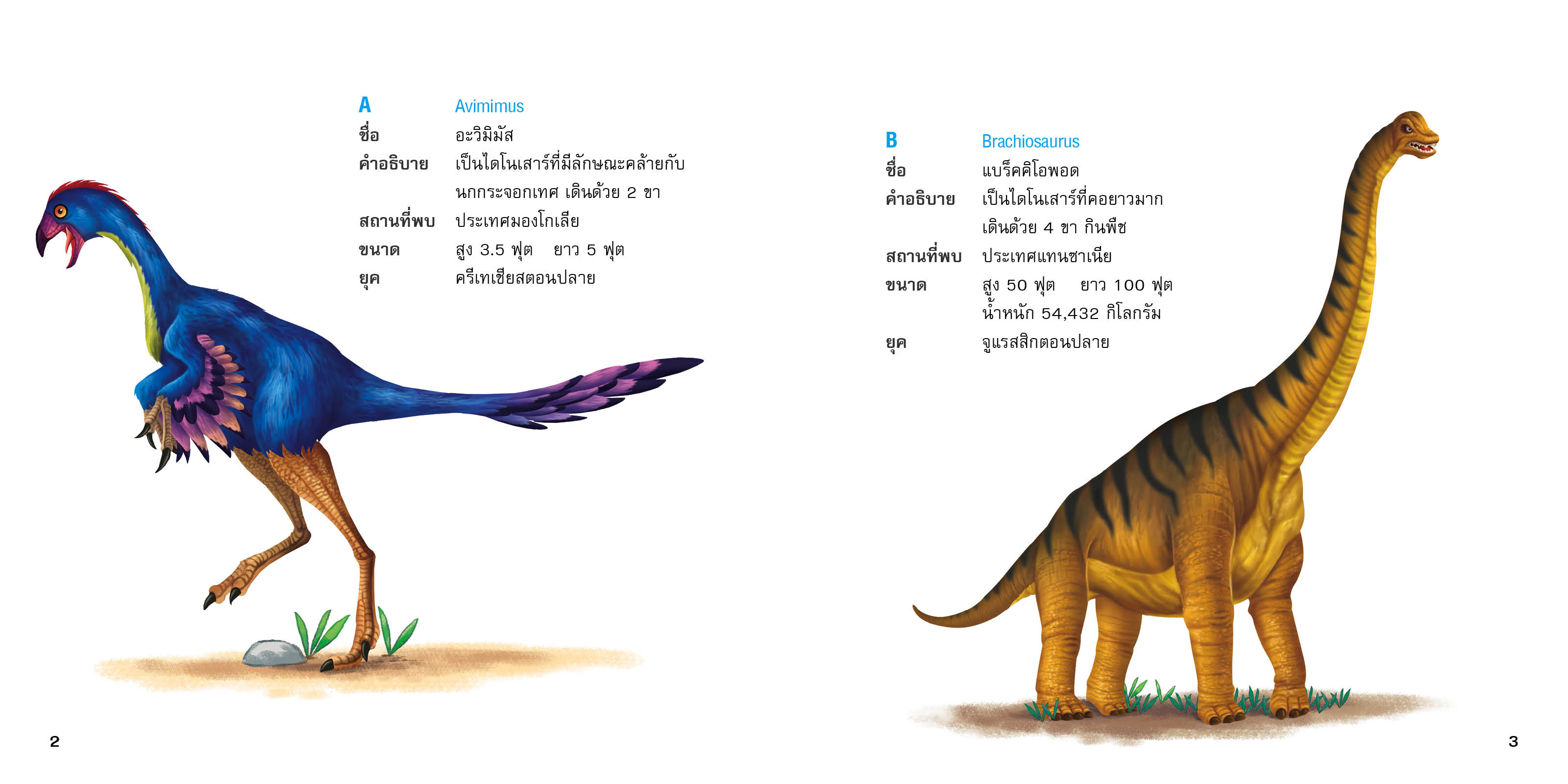 ไดโนเสาร์ เผ่า A To Z