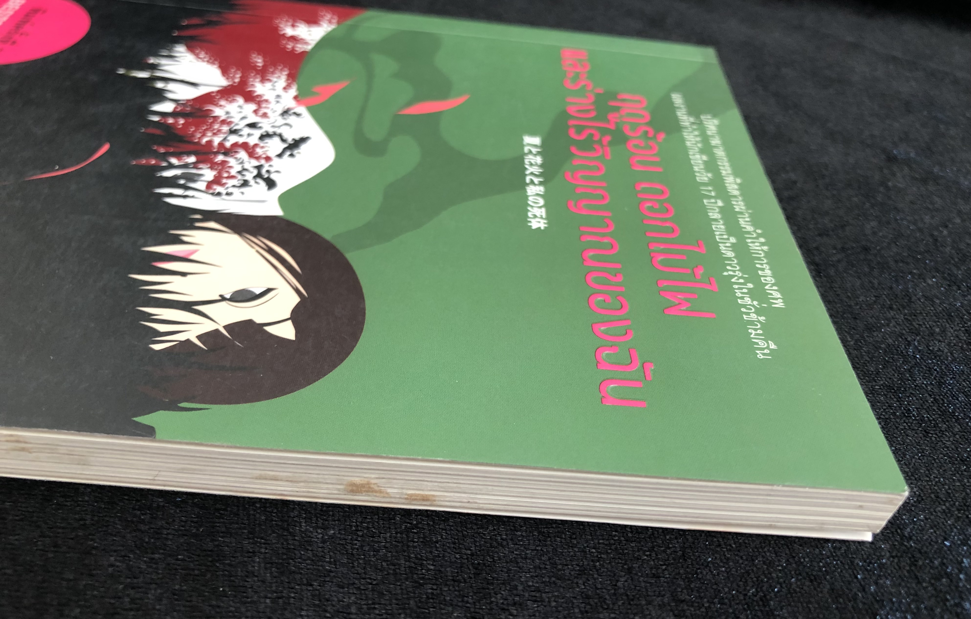 ฤดูร้อน ดอกไม้ไฟ และร่างไร้วิญญาณของฉัน