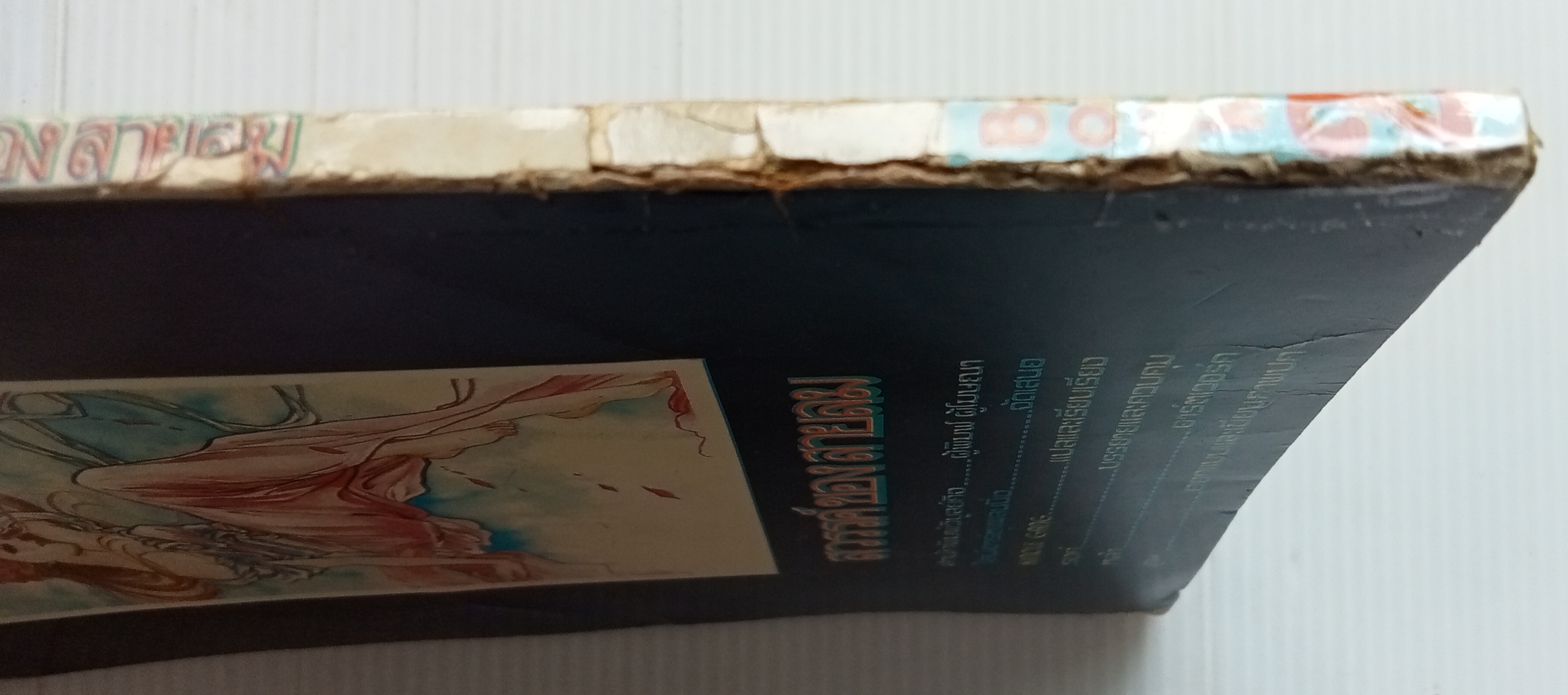 สวรรค์ของสายลม