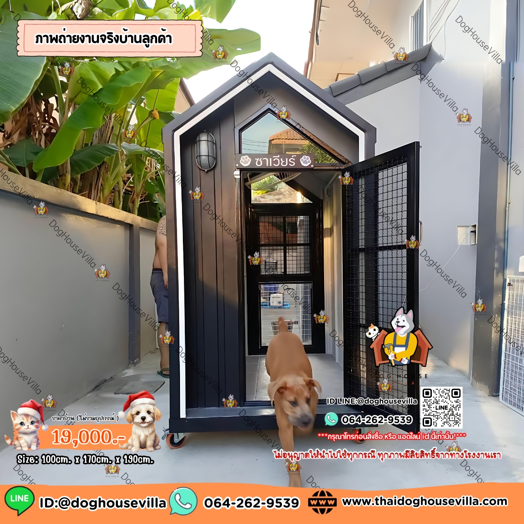 บ้านหมา บ้านแมว DogHouseVilla บ้านสุนัขกลางแจ้ง