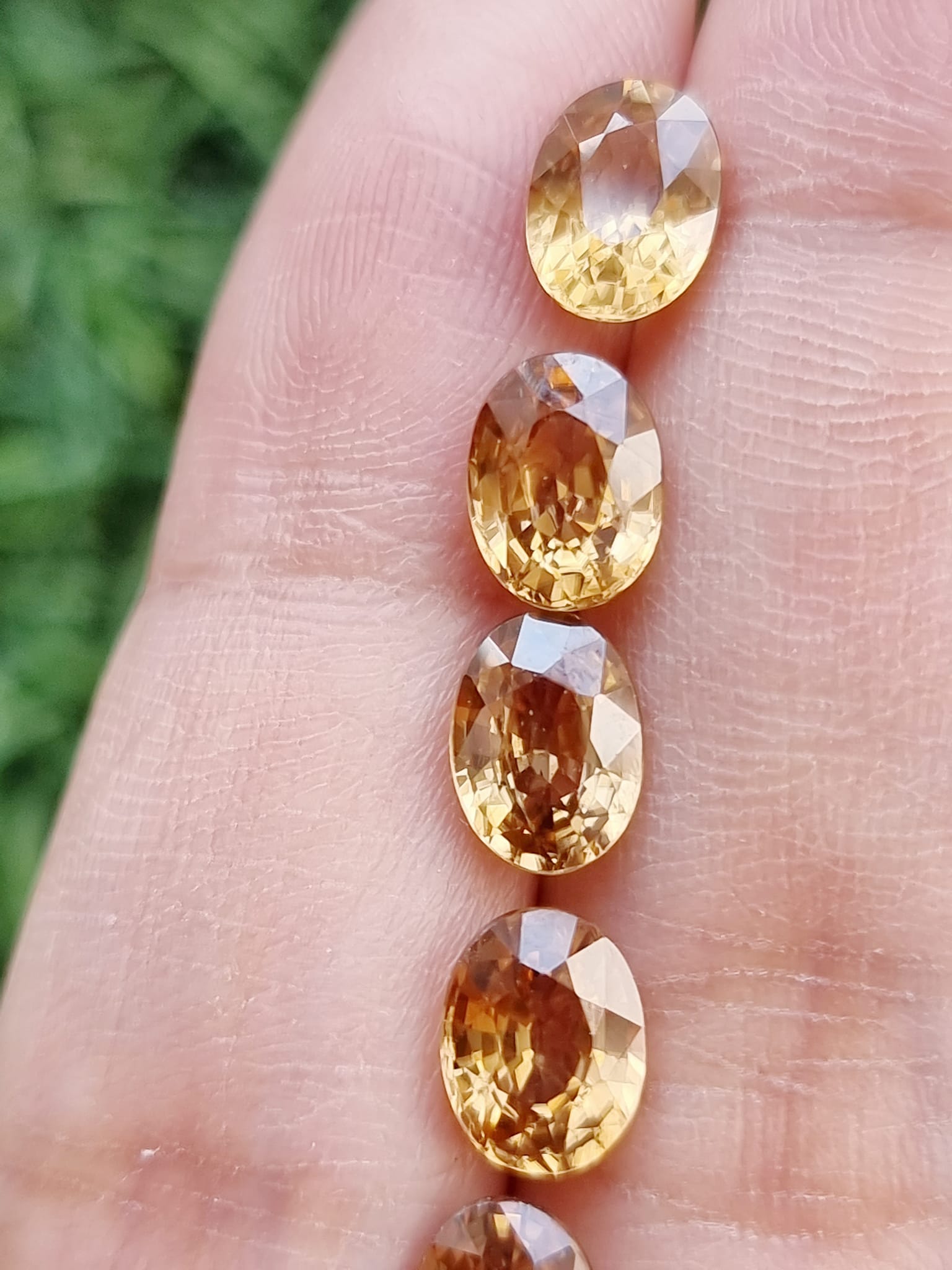 พลอยเพทายดิบ (Zircon Unheated) 8x6 mm.6 เม็ด ชุดละ 1,990 บาท