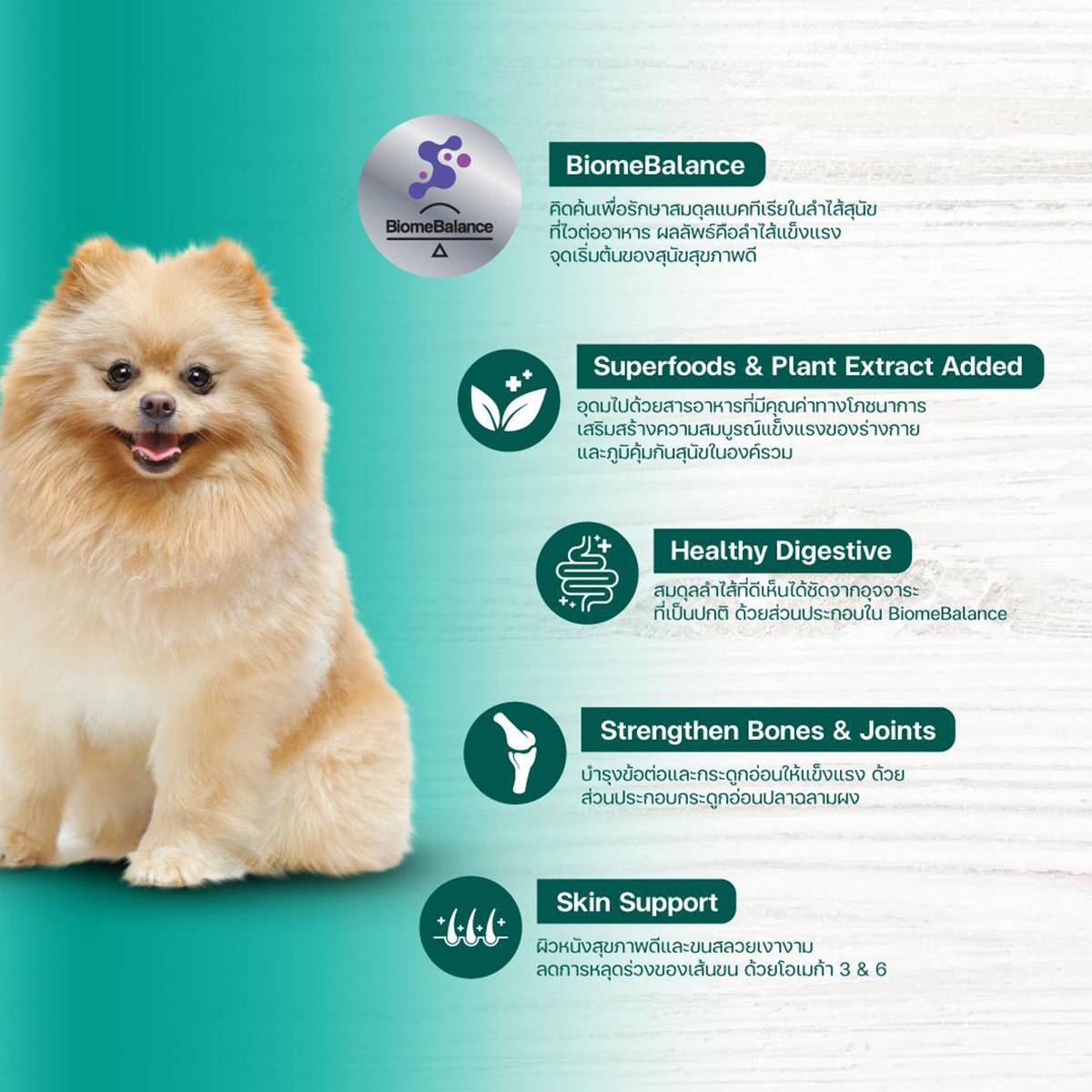 Lifemate Breed ไลฟ์เมท อาหารเม็ดสุนัขโตพันธุ์เล็ก-ใหญ่ ขนาด 1-2KG