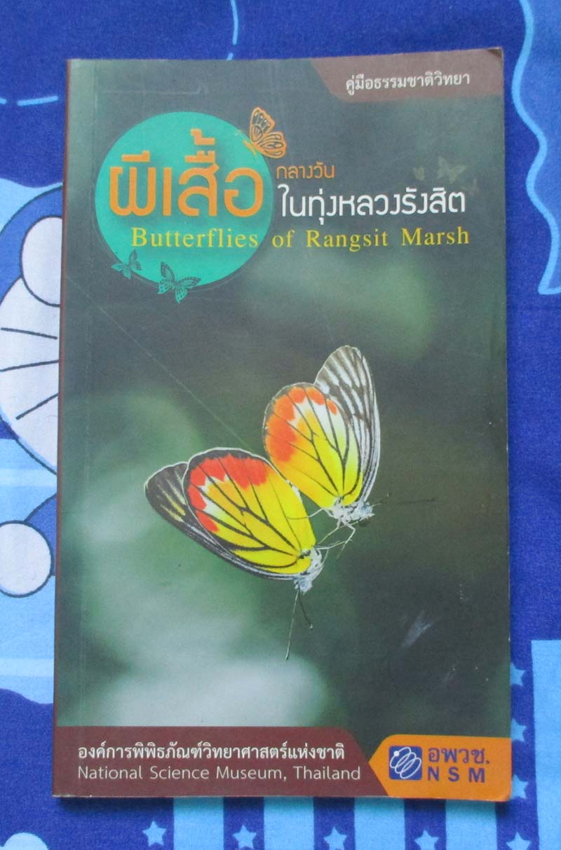 หนังสือ ผีเสื้อในทุ่งหลวงรังสิต