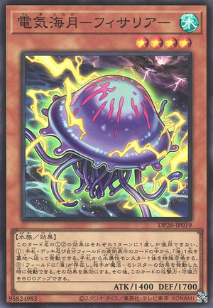 DP26-JP019 Physalia
