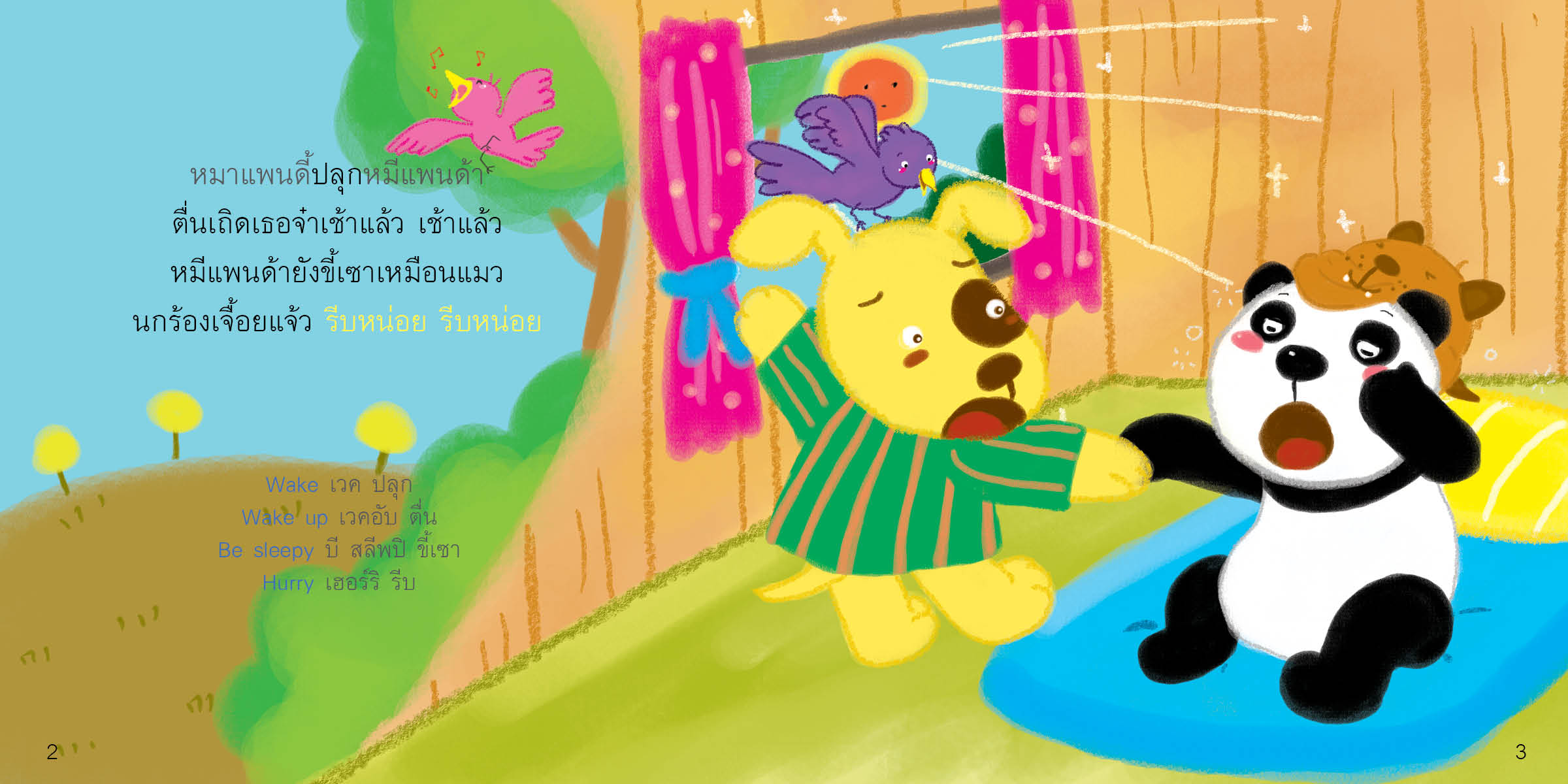 Box Set หมาแพนดี้กับหมีแพนด้า 4 เล่ม