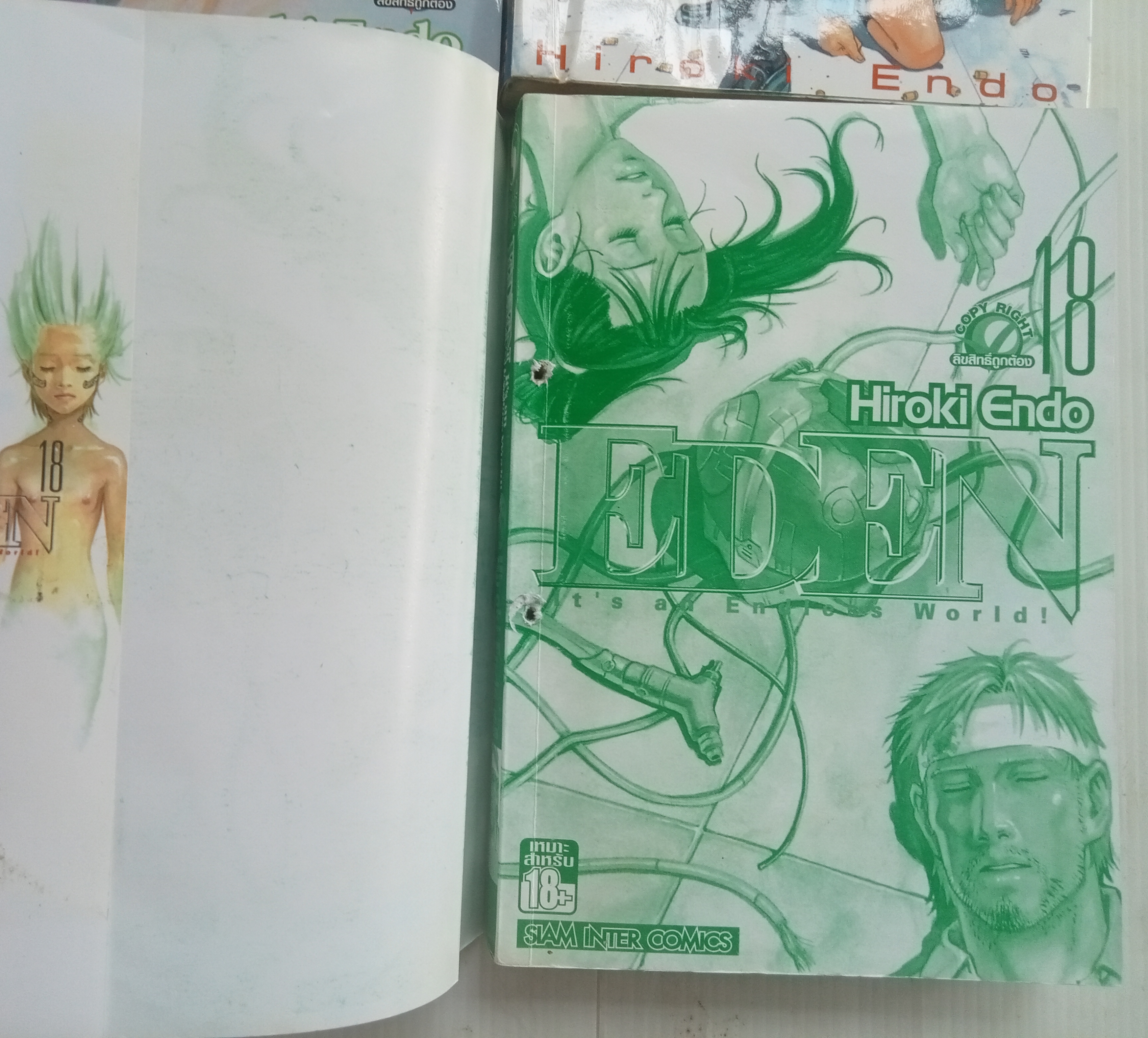 EDEN It's an endless world