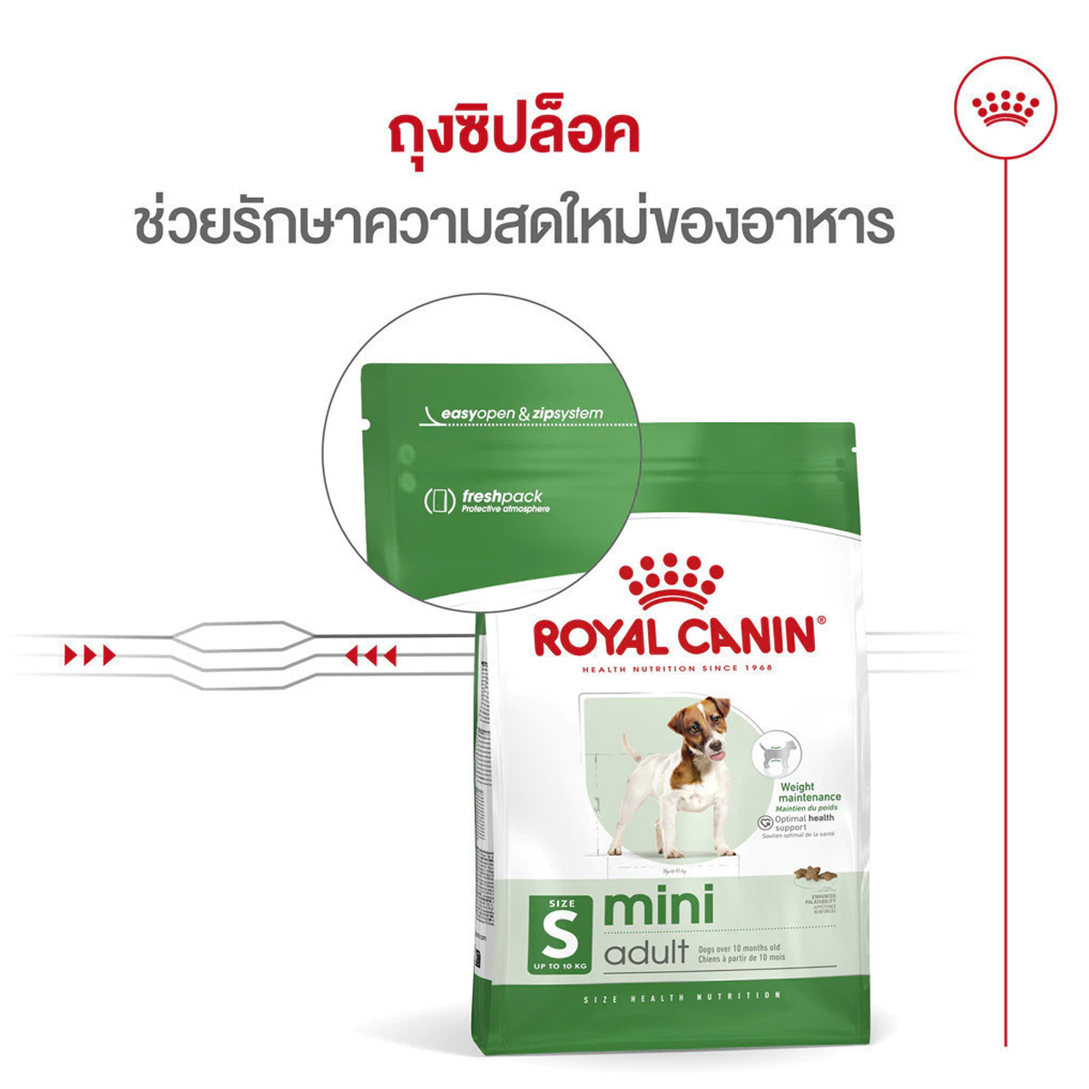 Royal canin Mini Adult อาหารสุนัขโต พันธุ์เล็ก ชนิดเม็ด ขนาด 15KG