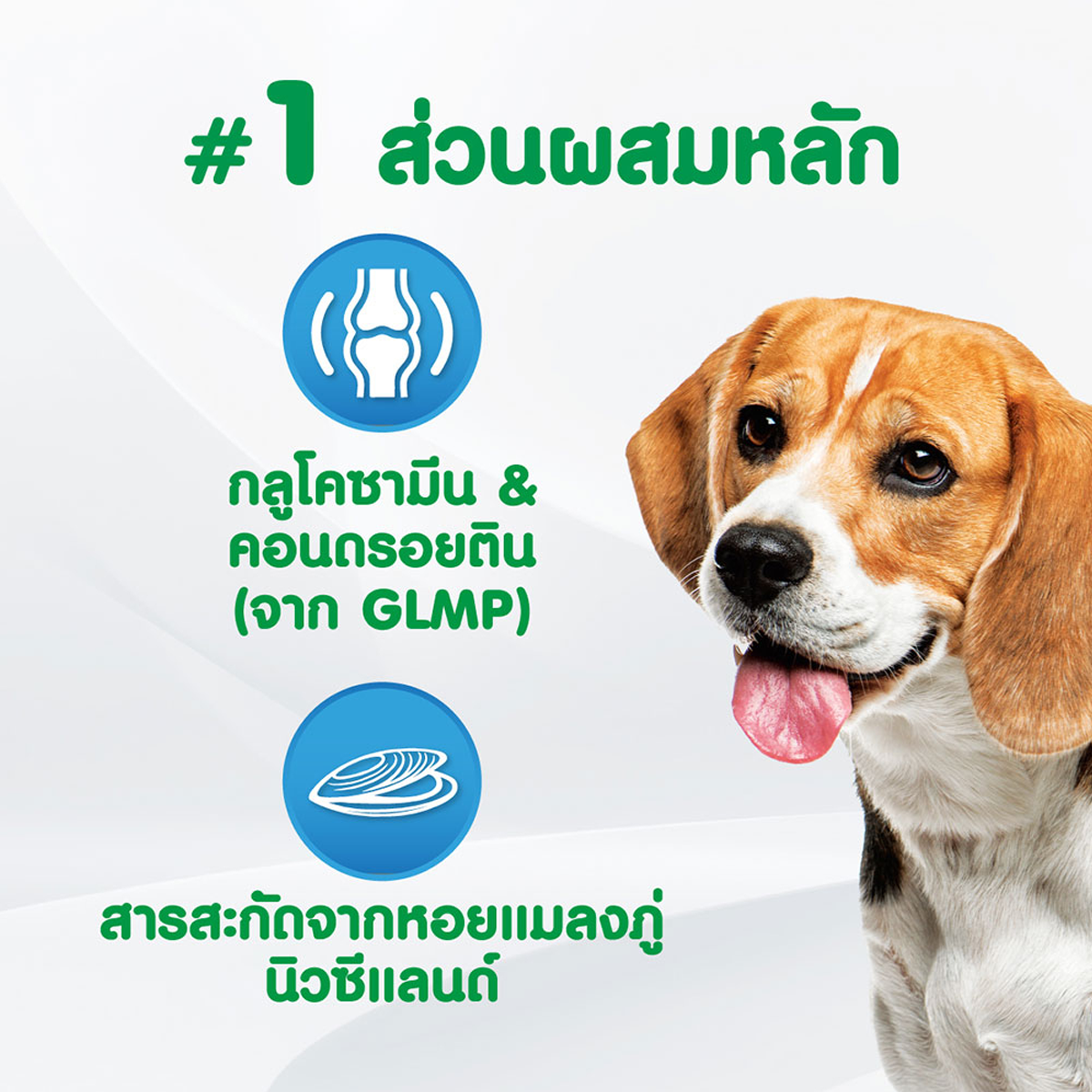 IAMS ไอแอมส์ อาหารเสริมสุนัข - อาหารเสริมเคี้ยวได้ ขนาด 168 G