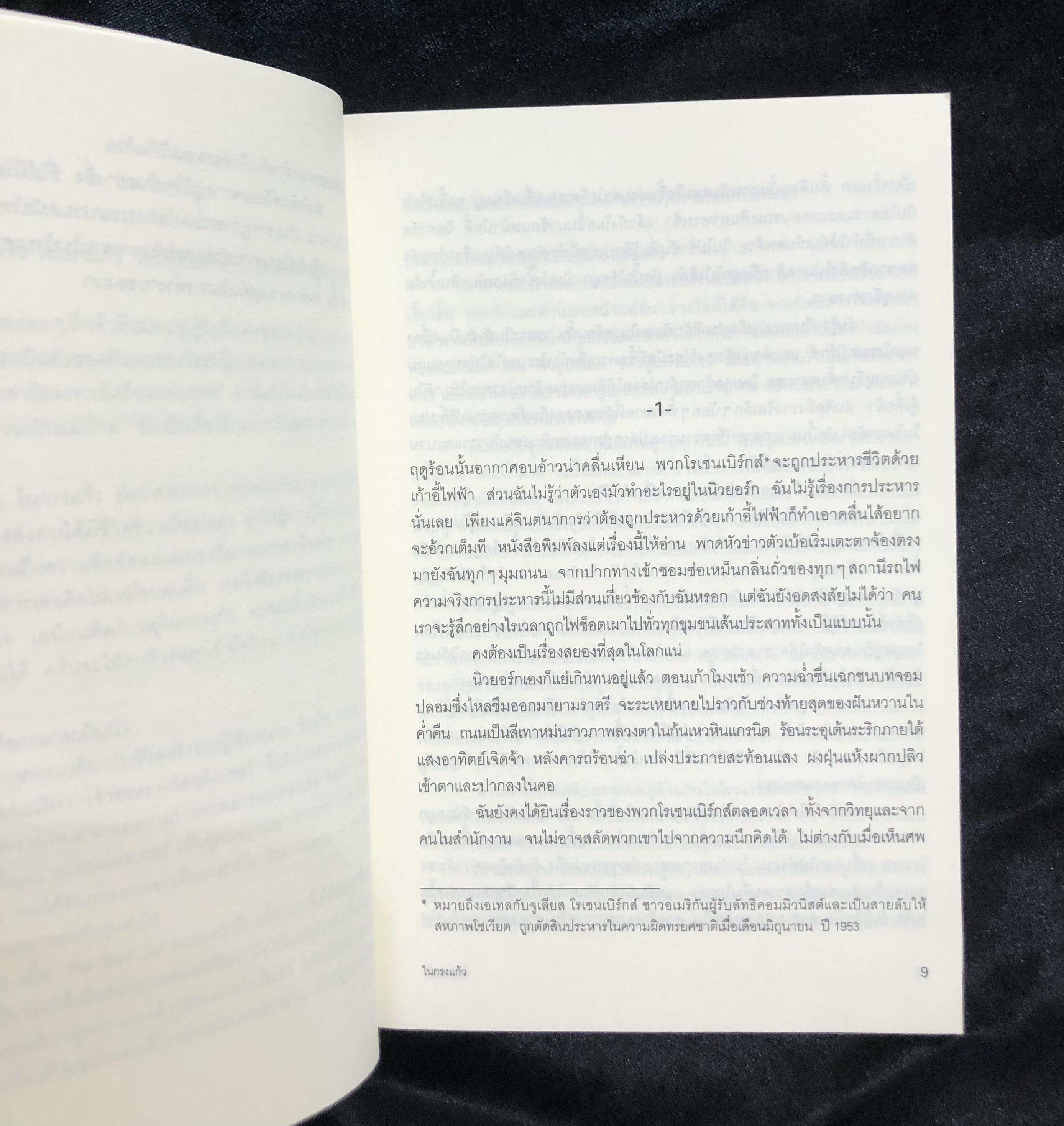 ในกรงแก้ว The Bell Jar - ซิลเวีย แพลท