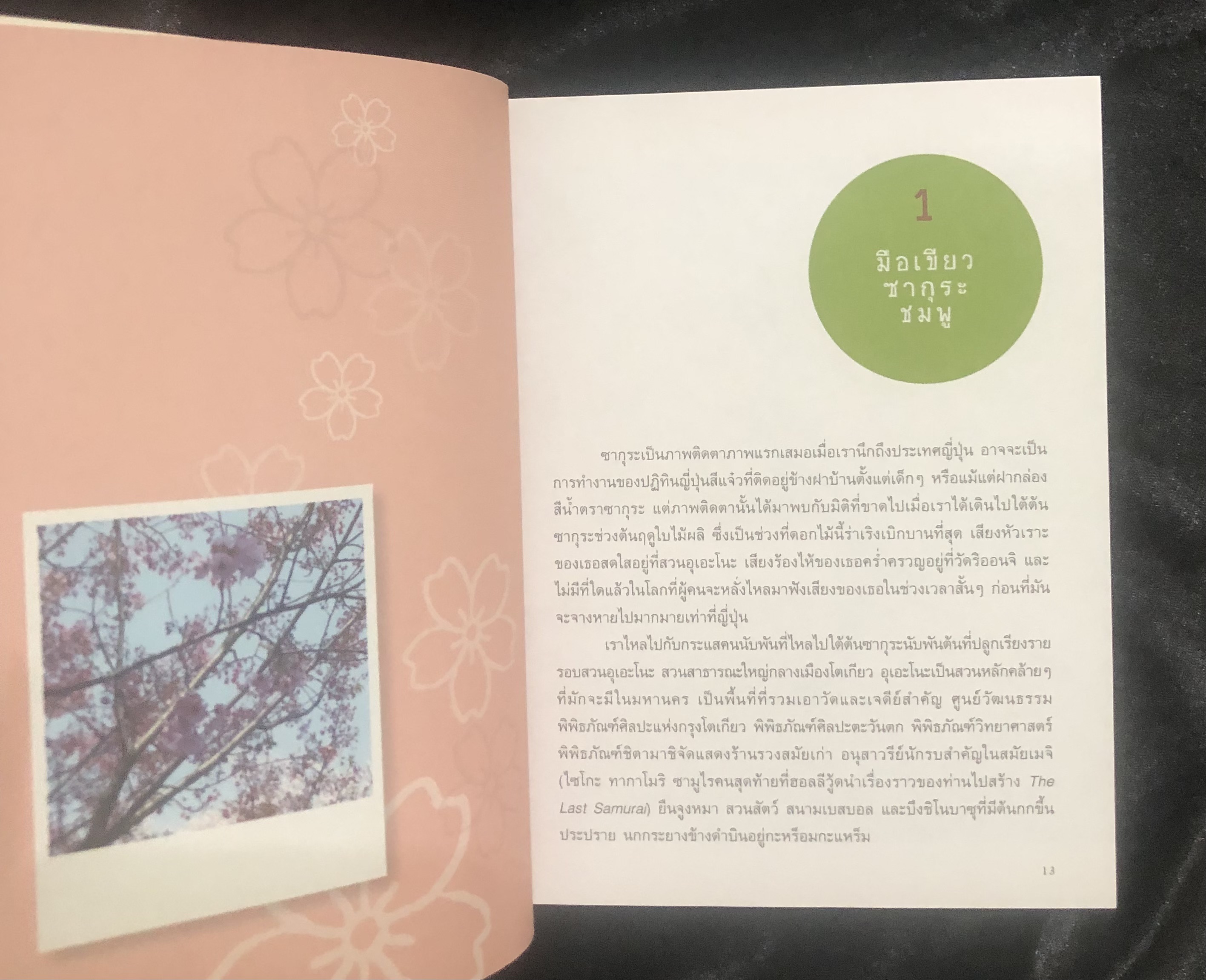 เจแปน เจอนั่น เจอนี่ Japan Journal Journey