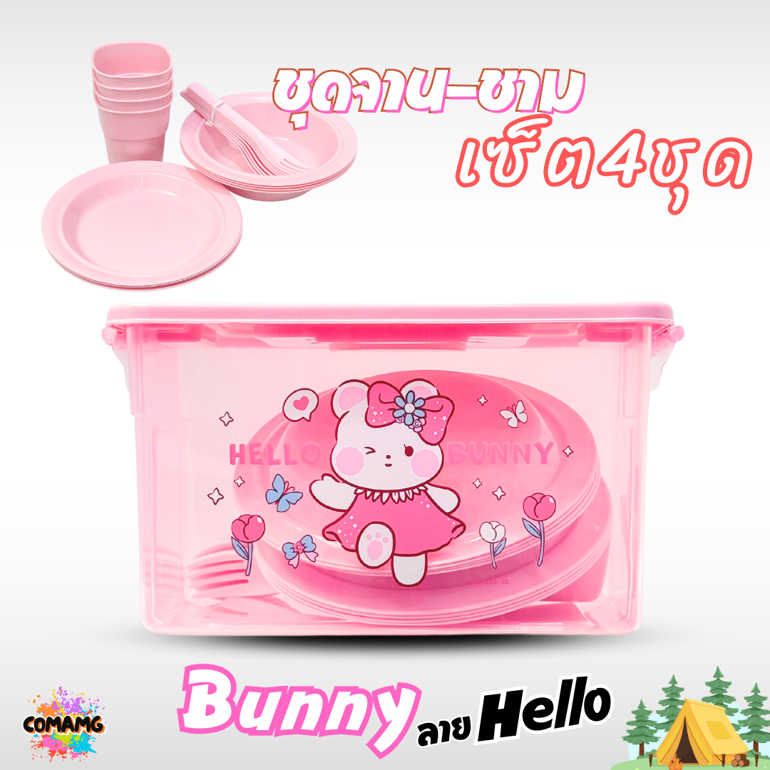 เซ็ตจานชามปิคนิค ชุดปิคนิค พร้อมกล่องใส่หูหิ้วพกพา ลายลิขสิทธิ์แท้
