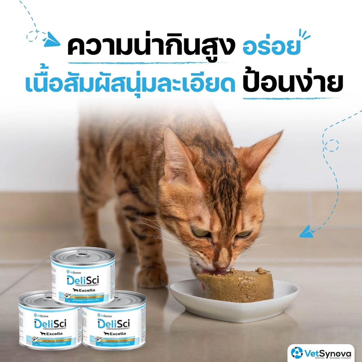 DeliSci : Excella อาหารฟื้นฟูสําหรับสัตว์ป่วย ขาดสารอาหาร และพักฟื้นหลังการผ่าตัด ที่ต้องการพลังงานสูง ขนาด 185g