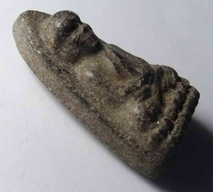 รหัสสินค้า หลวงปู่ทวด วัดต่างๆ 019 หลวงปู่ทวด เนื้อผงใบลาน เลื่อนสมณศักดิ์ ปี 2546 พระรายการนี้ให้เช่าบูชาแล้ว