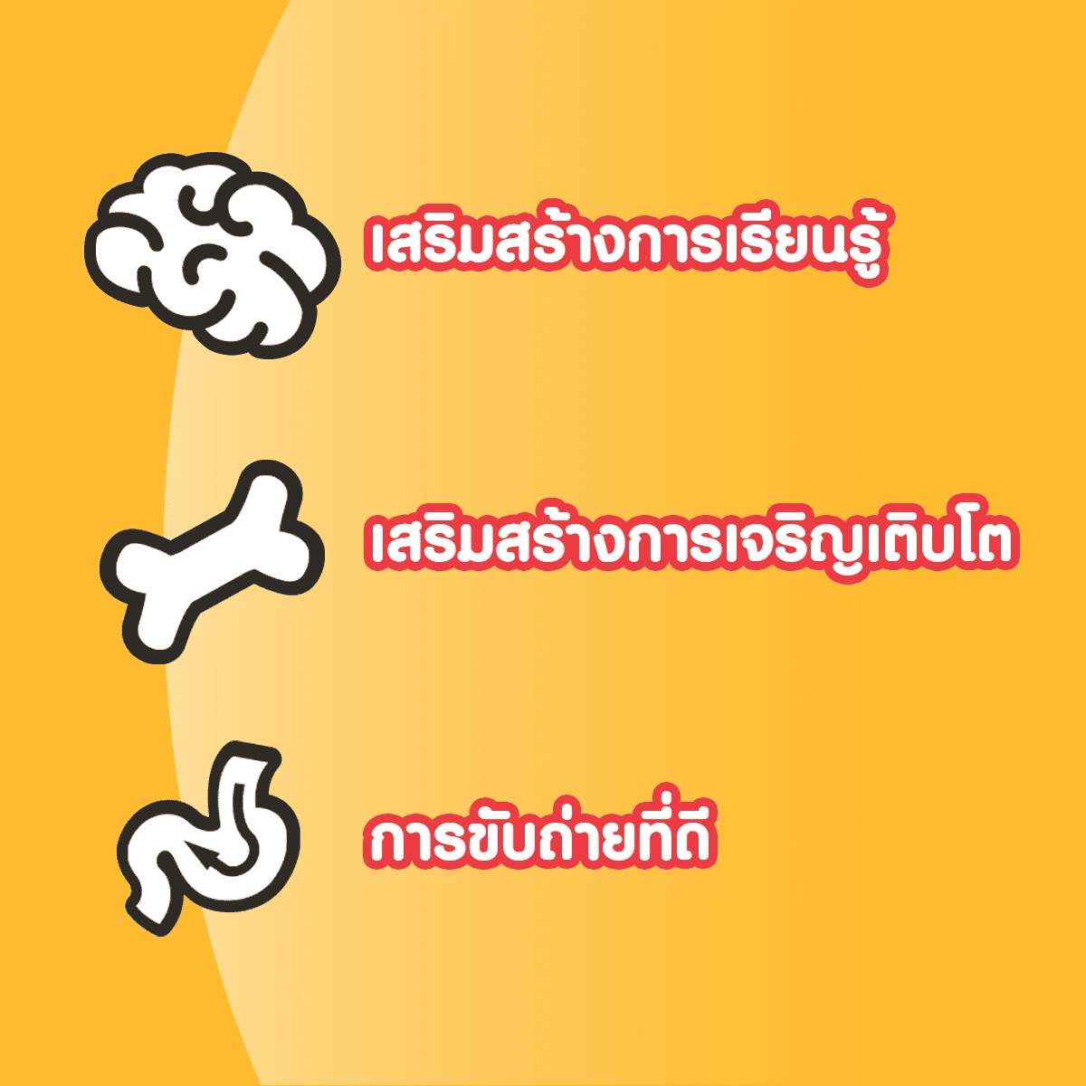 Pedigree Mini Adult เพดดิกรี อาหารสุนัขโตพันธุ์เล็ก 8kg อาหารสุนัขเกรดพรีเมียม