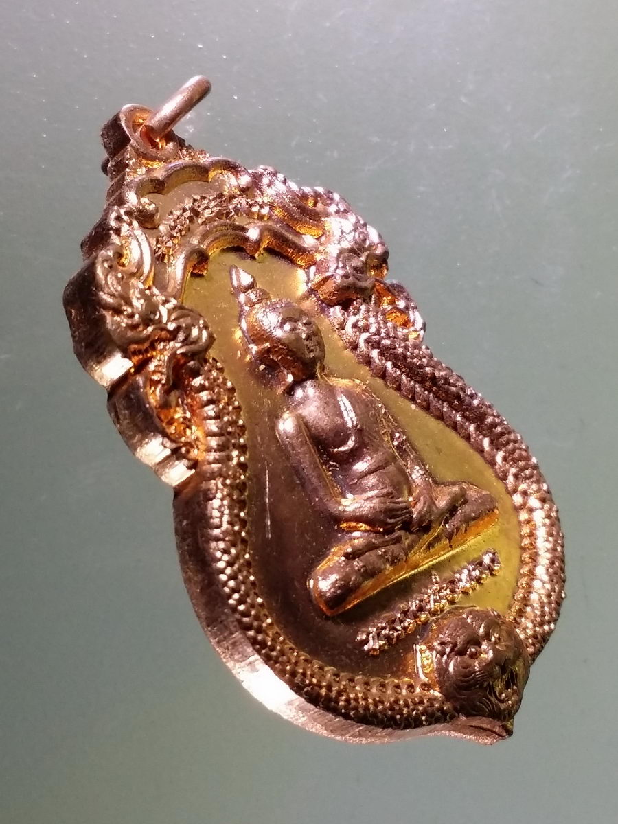 Antig Pim 181 เหรียญ รุ่นแรก พระพุทธหลวงพ่อทอง วัดพืชนิมิต อำเภอคลองหลวง จังหวัดปทุมธานี สร้างปี 2546