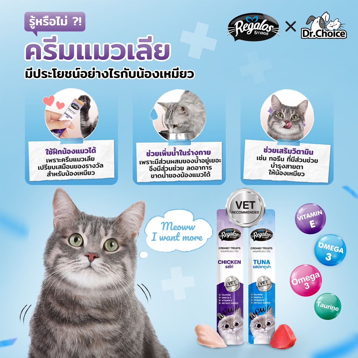 Regalos รีกาลอส ขนมครีมแมวเลีย ขนาด 15Gx25ซอง