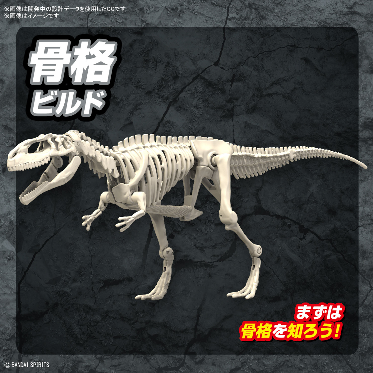 <Preorder ปิดรับวันที่ 2/1/2024> 🔔เปิดรับPreorder ไม่ต้องมัดจำครับ planosaurus giganotosaurus