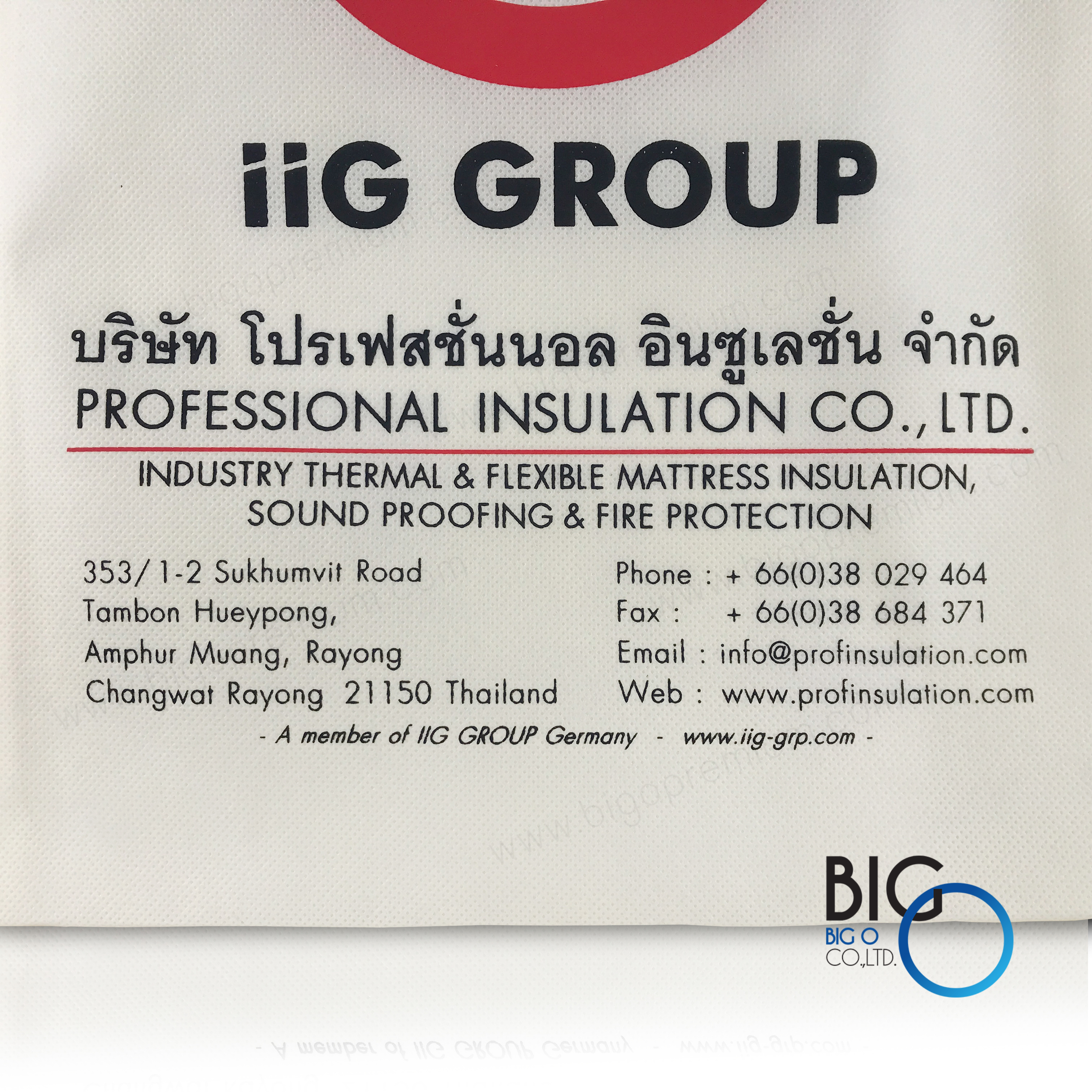 บริษัท โปรเฟสชั่นนอล อินซูเลชั่น จำกัด (iiG Group)