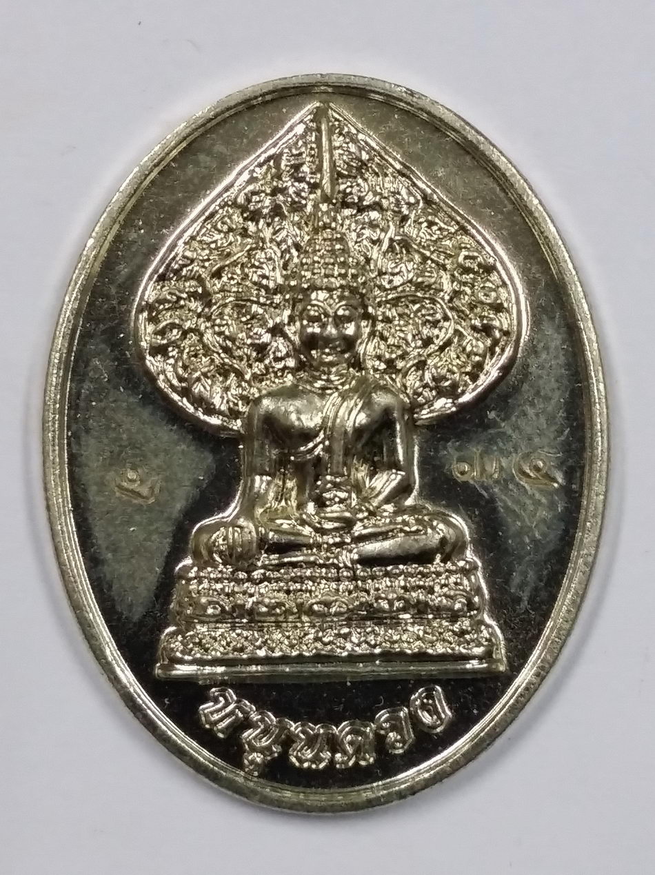 Antig LSD 3329 เหรียญพระพุทธพิมพ์ปรกโพธิ์หนุนดวง พระอาจารย์อภิญชัย มหาวิริโย สำนักสงฆ์ป่าห้วยบง ตำบลแม่ปืม อำเภอเมือง จังหวัดพะเยา สร้างปี 2559 ตอกหมายเลข 234 พระรายการนี้คุณธิติจองเเล้ว