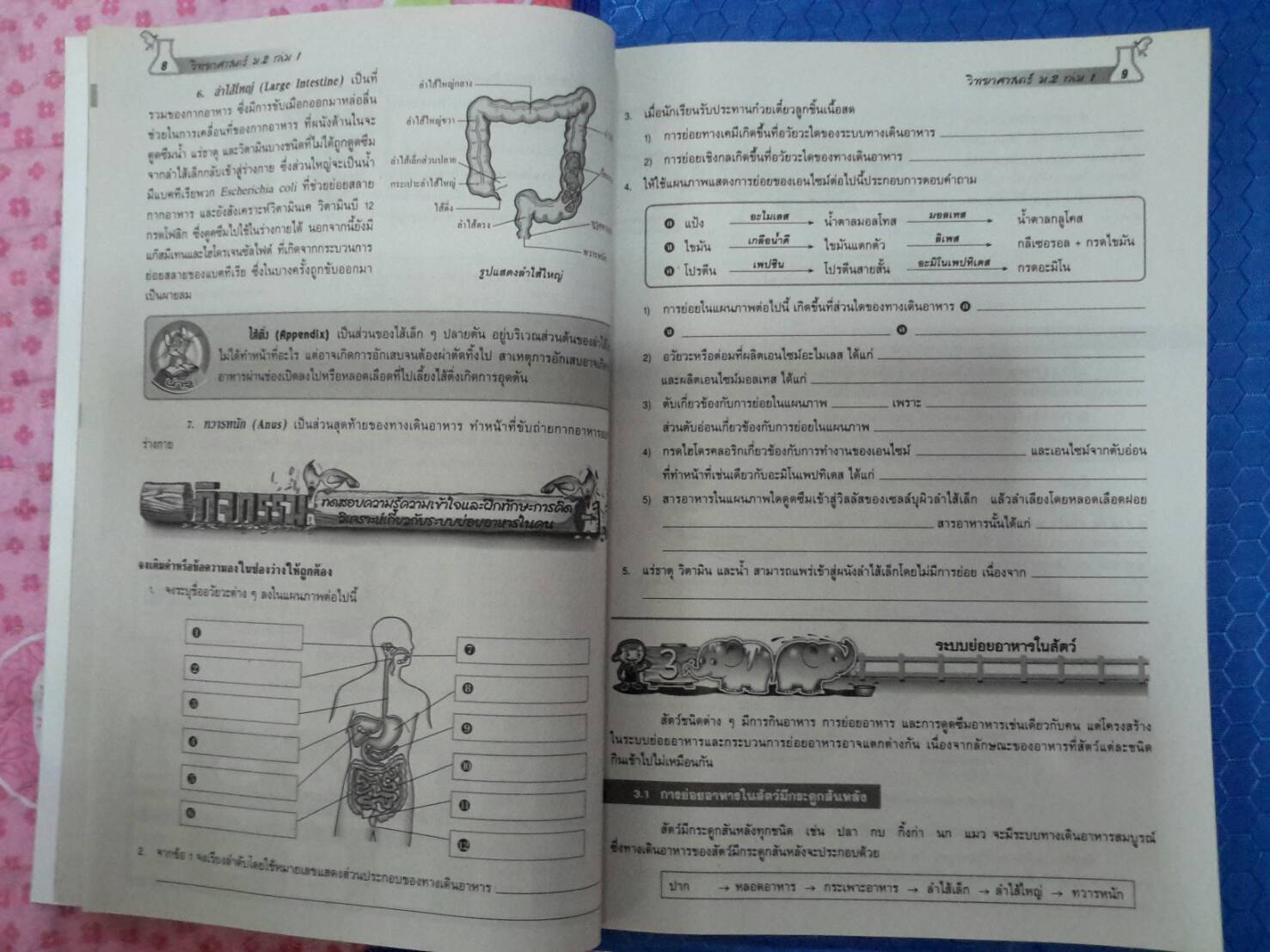 หนังสือสื่อการเรียนรู้และเสริมสร้างทักษะตามมาตรฐานและตัวชี้วัด กลุ่มสาระการเรียนรู้วิทยาศาสตร์ ชั้น ม.2 เล่ม 1 สำนักพิมพ์นิยมวิทยา