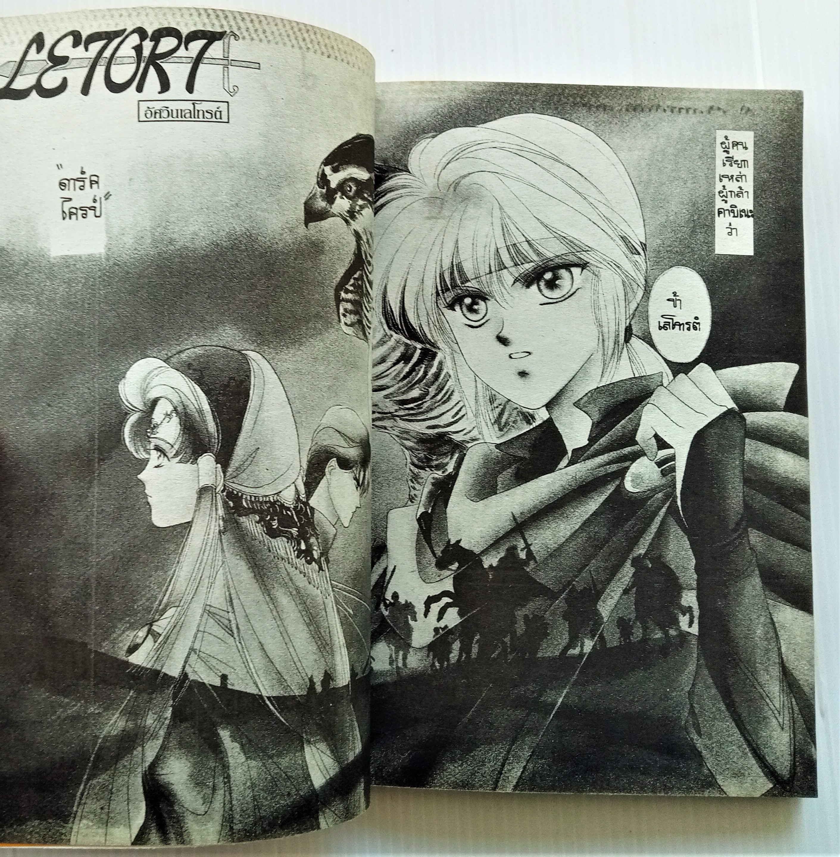 อัศวินผมเงิน