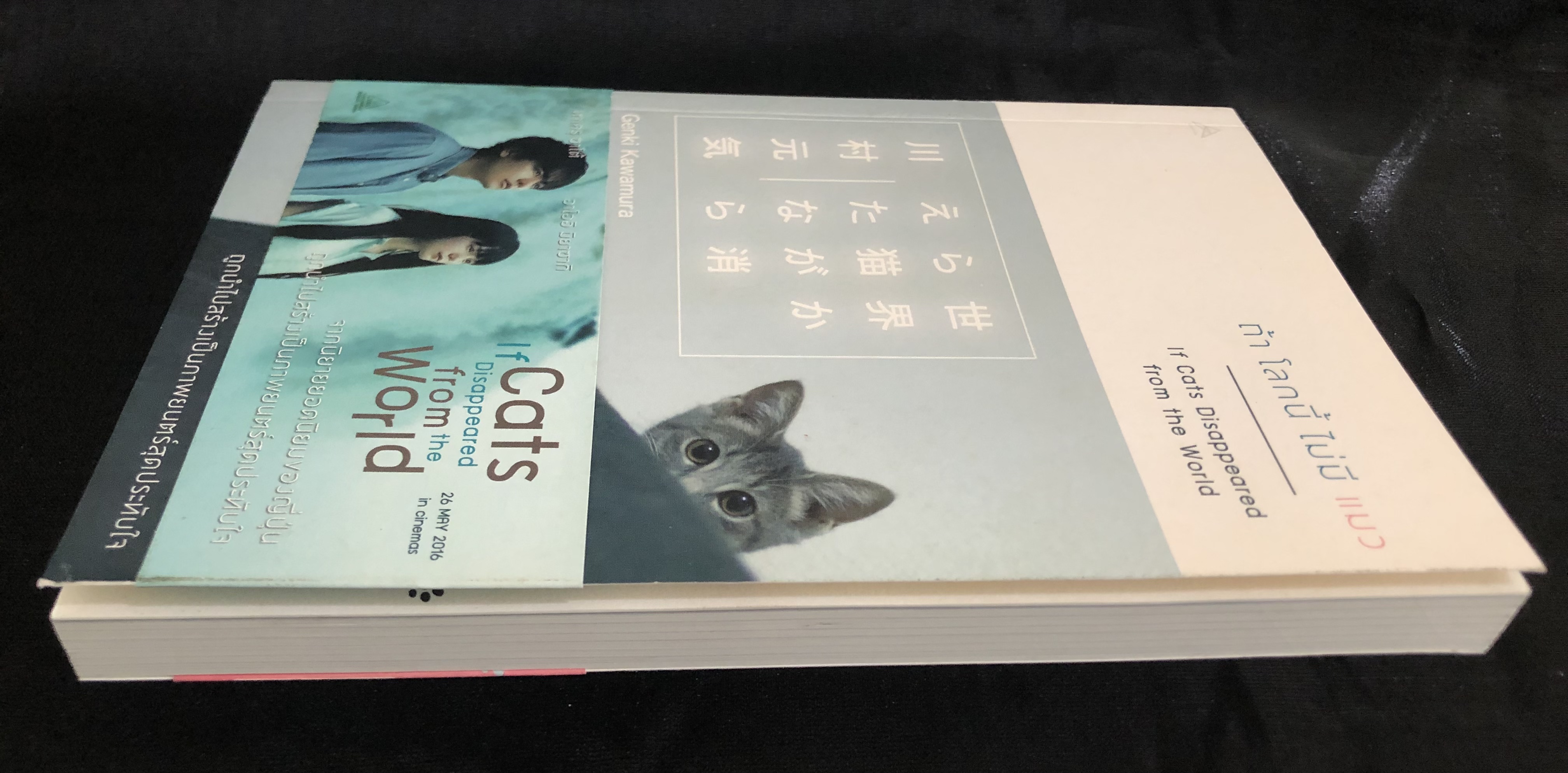 ถ้าโลกนี้ไม่มีแมว If Cats Disappeared From The World