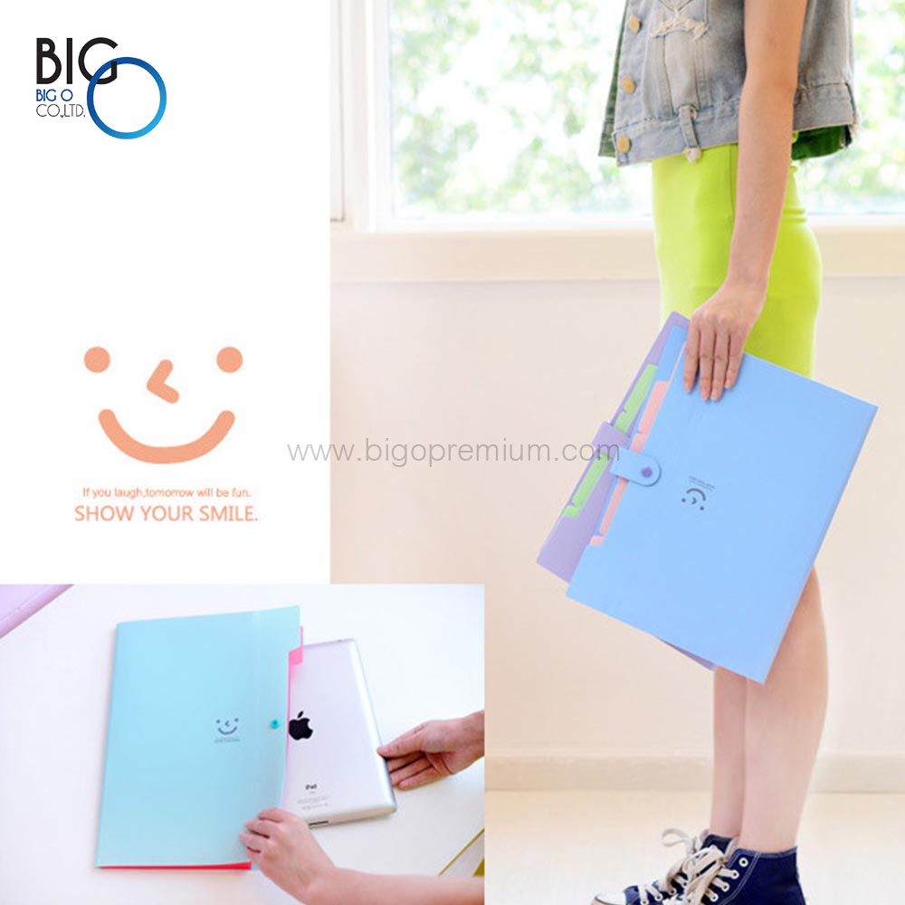 แฟ้มใส่เอกสาร 5 ช่อง (Kawaii Folder)