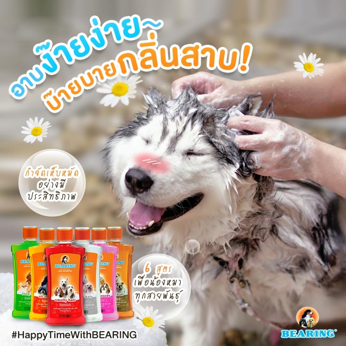 Bearing แชมพูสุนัข แชมพูกำจัด เห็บ หมัด ขนาด 300 ML