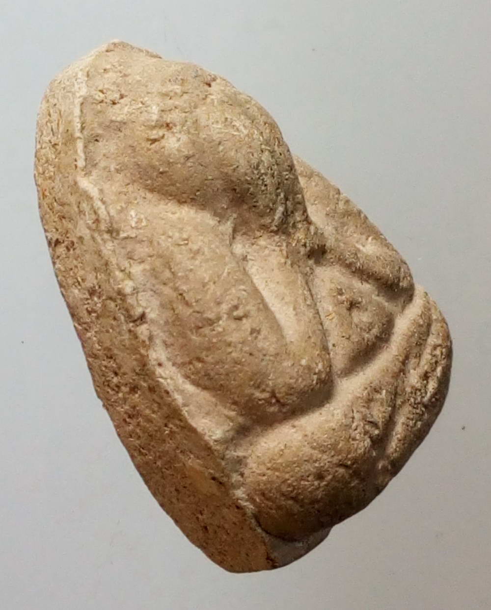 รหัสสินค้า พระไม่ทราบที่ 147 พระปิดตาเนื้อผง ไม่ทราบที่