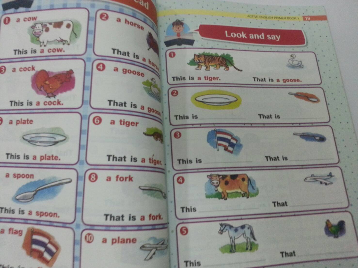 Active English Primer New Edition Book 1 พร้อมเล่มแบบฝึกหัด