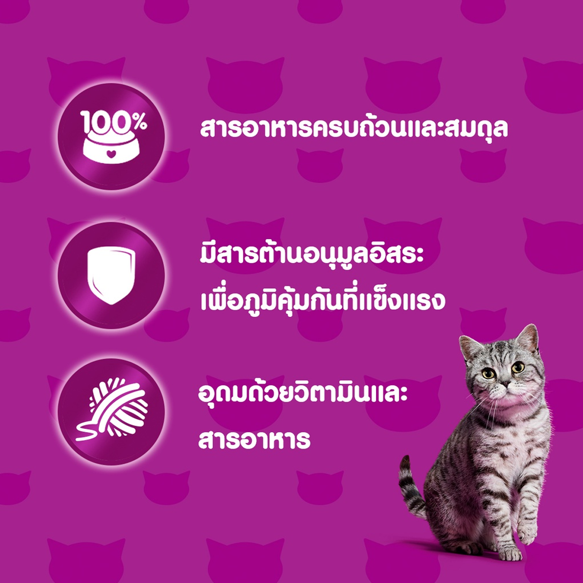 WHISKAS วิสกัส อาหารแมวชนิดเปียก เพาซ์มัลติแพค ขนาด 80 กรัม X 12 ซอง